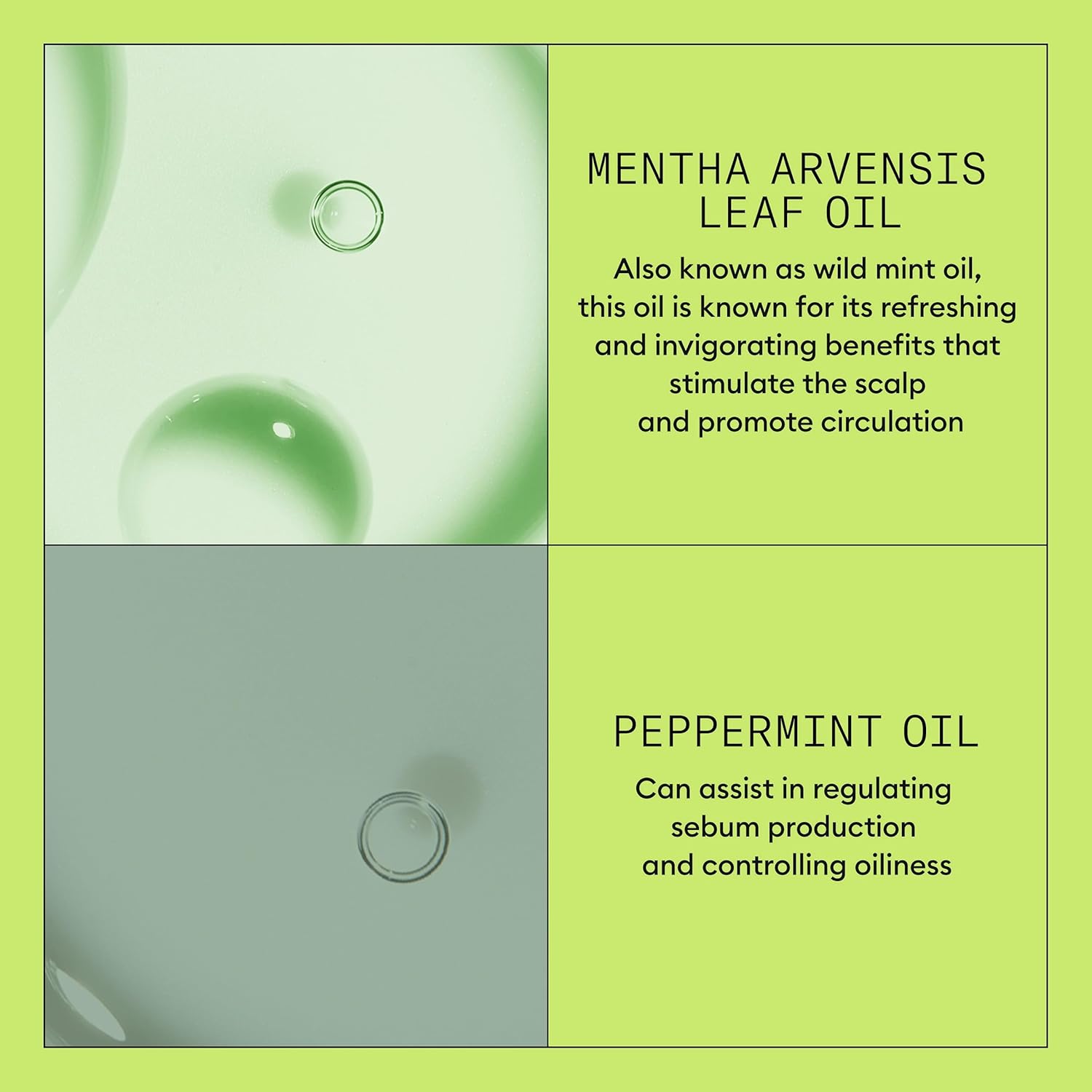 Nioxin System 2 Scalp + Hair Thickening Conditioner for Natural Hair with Progressed…: Infographics