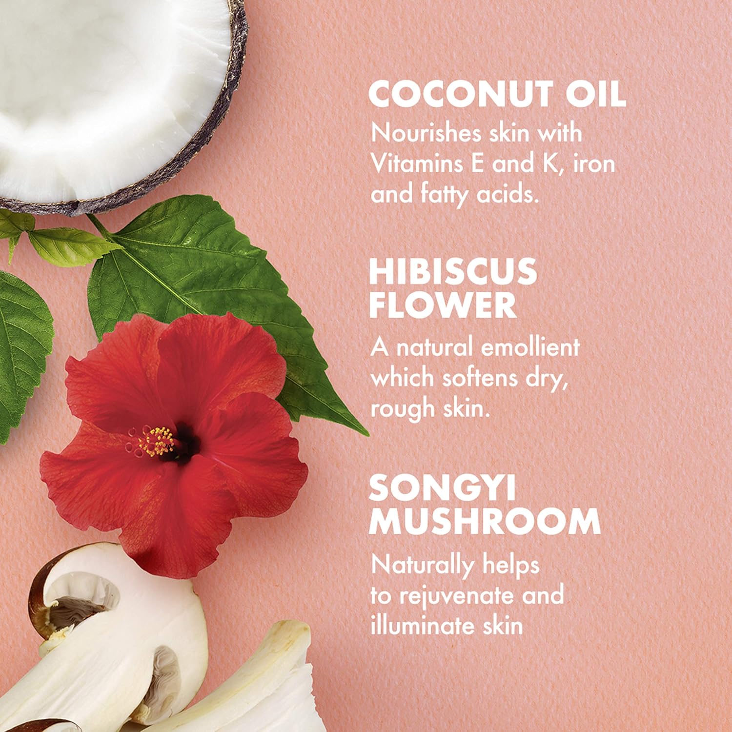 Highlights the key natural ingredients and their respective skin benefits to showcase the product's nourishing and rejuvenating properties.