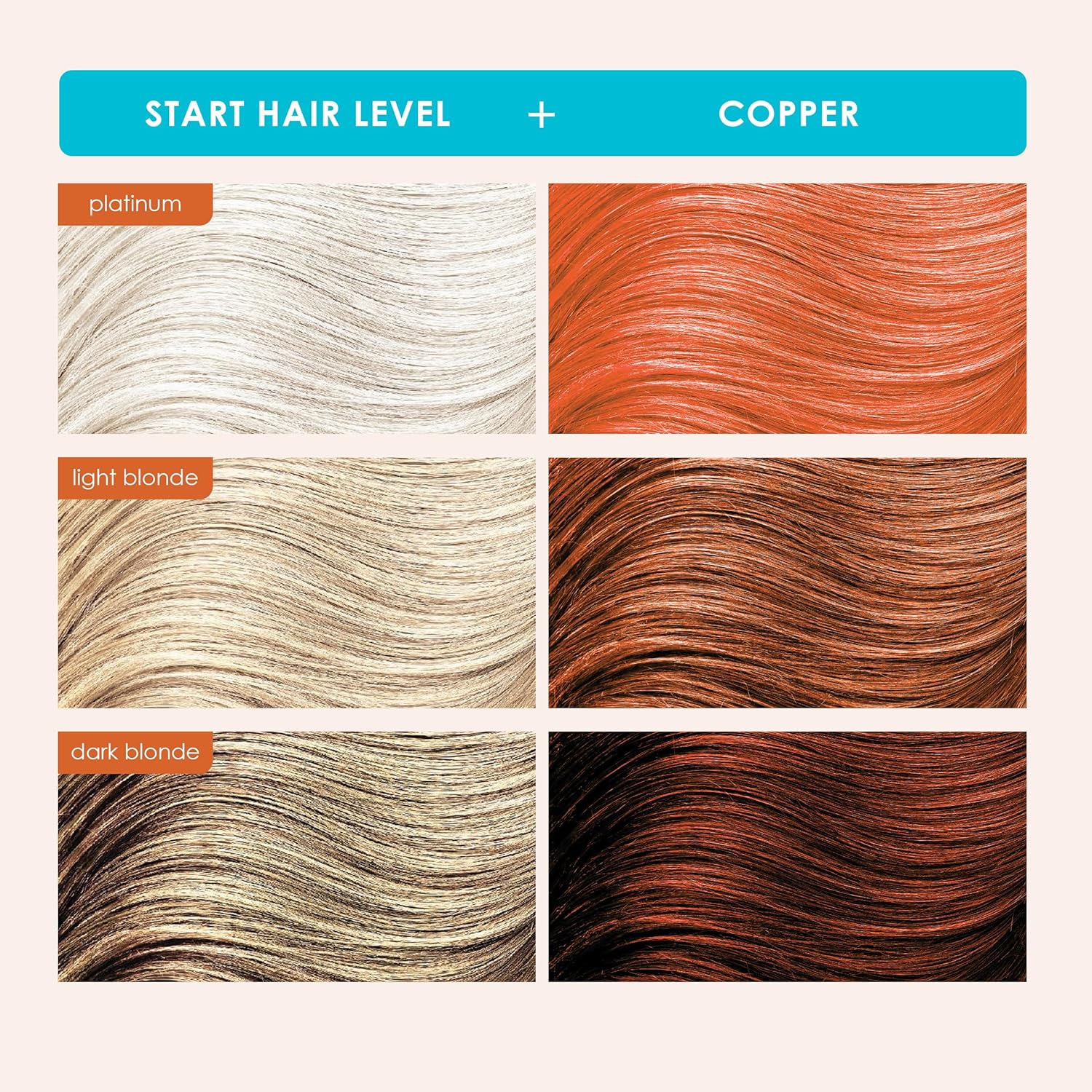 Guides customers in selecting the right hair color shade by showing visual examples of different blonde and copper tones.