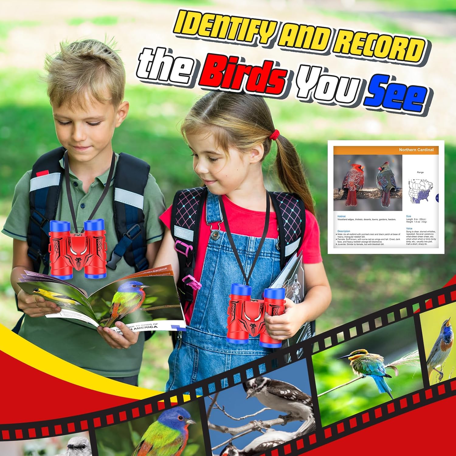 Encourages kids to learn how to identify different bird species through observation and using a bird guide.