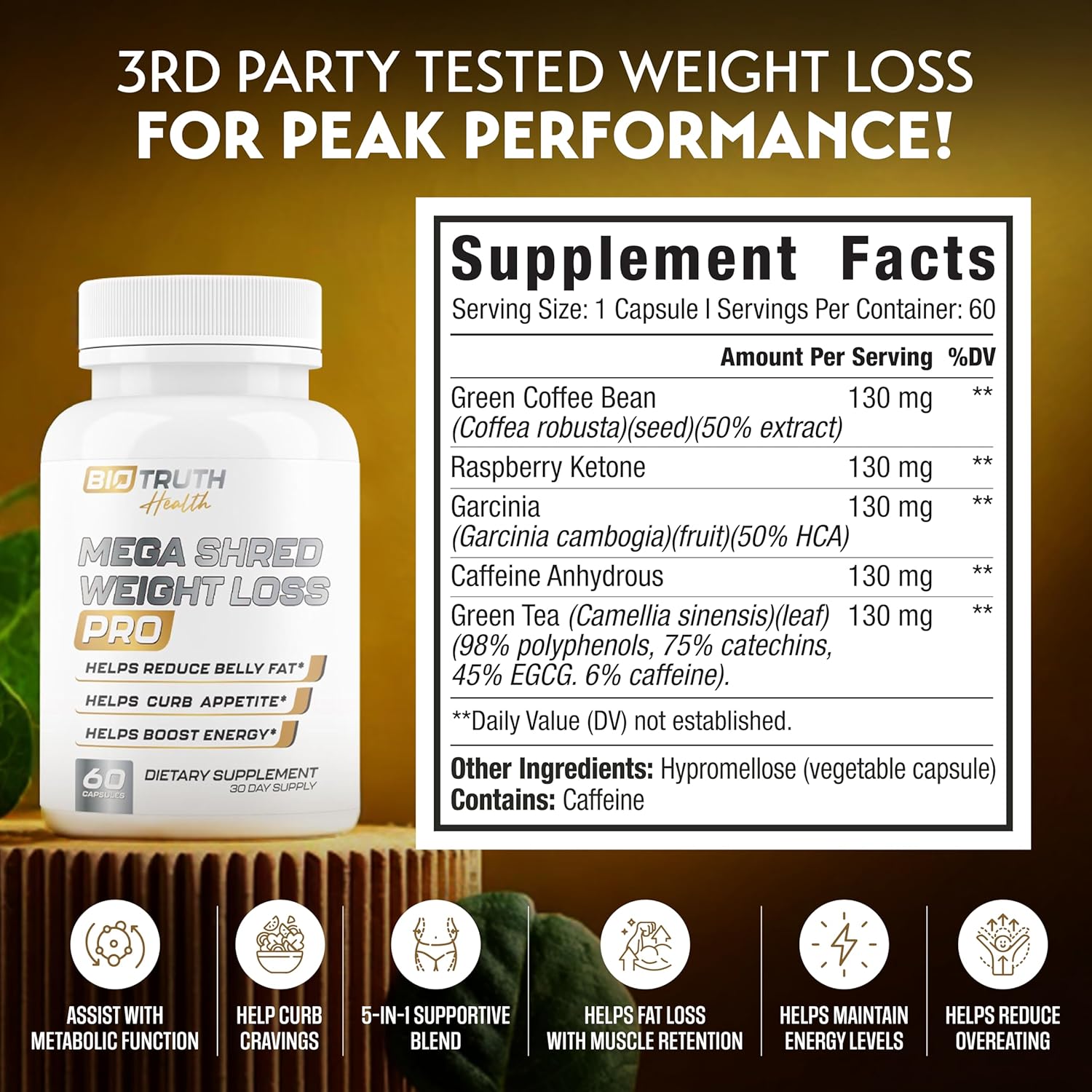 MEGA Shred PRO: Infographics