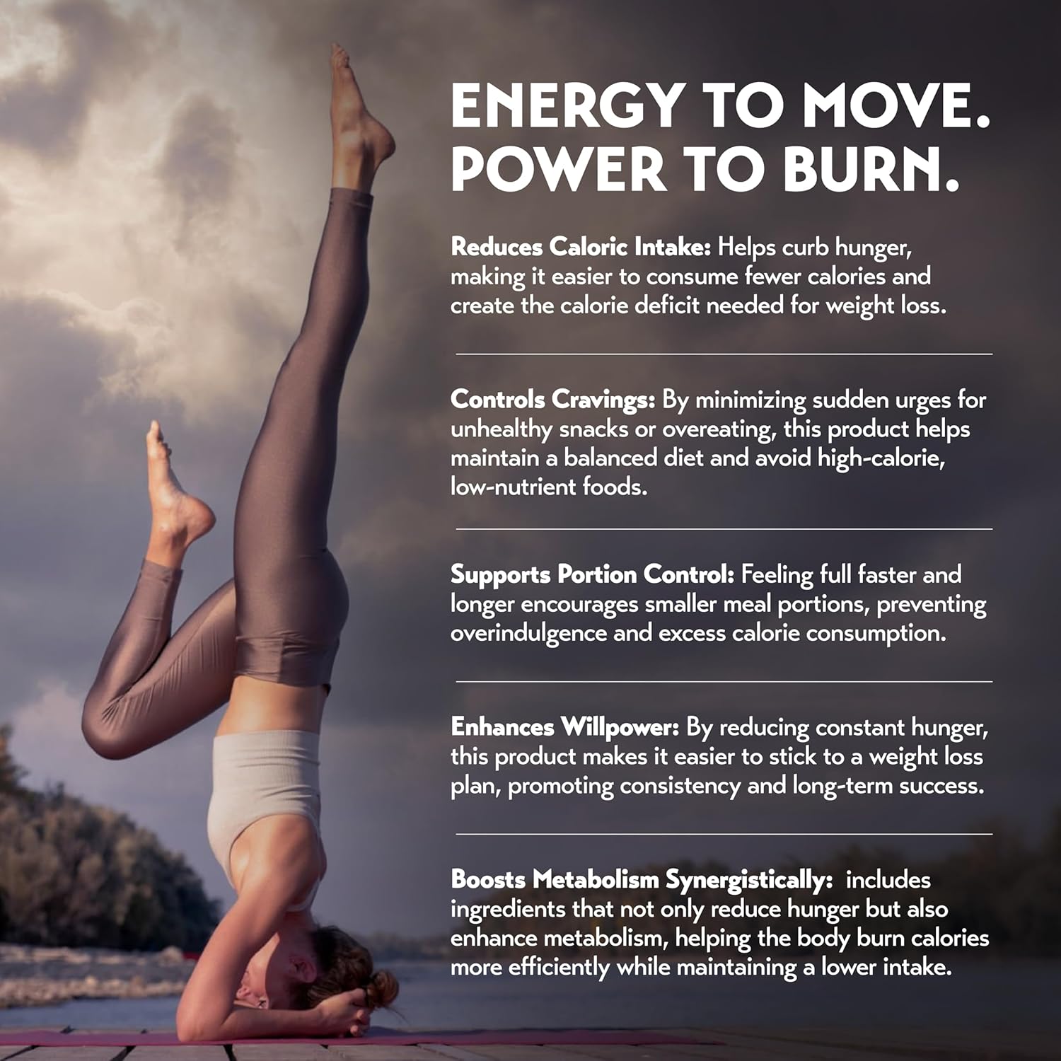 MEGA Shred PRO: Infographics