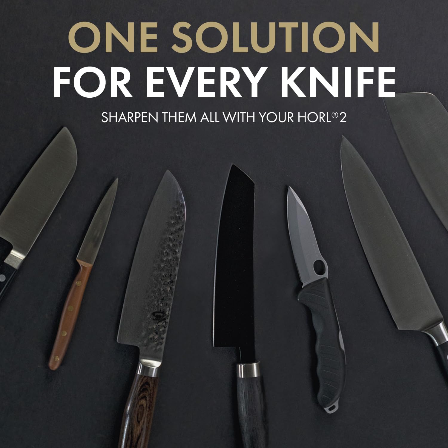 Demonstrates that the HORL 2 sharpener can be used on a wide variety of knife types, emphasizing its versatility and universal application.