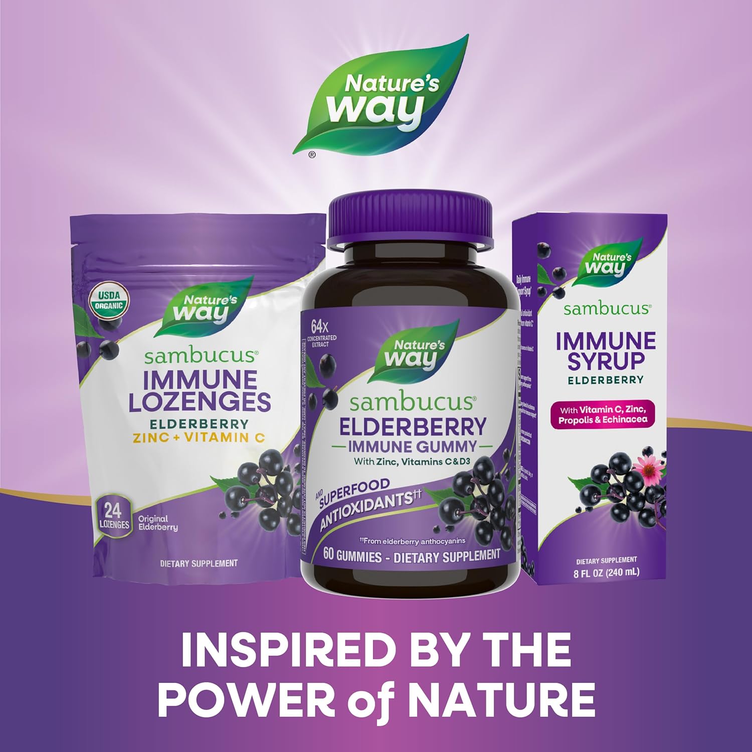 Nature’s Way Sambucus Elderberry Immune Support Gummies for Kids & Adults* with Black…: Infographics