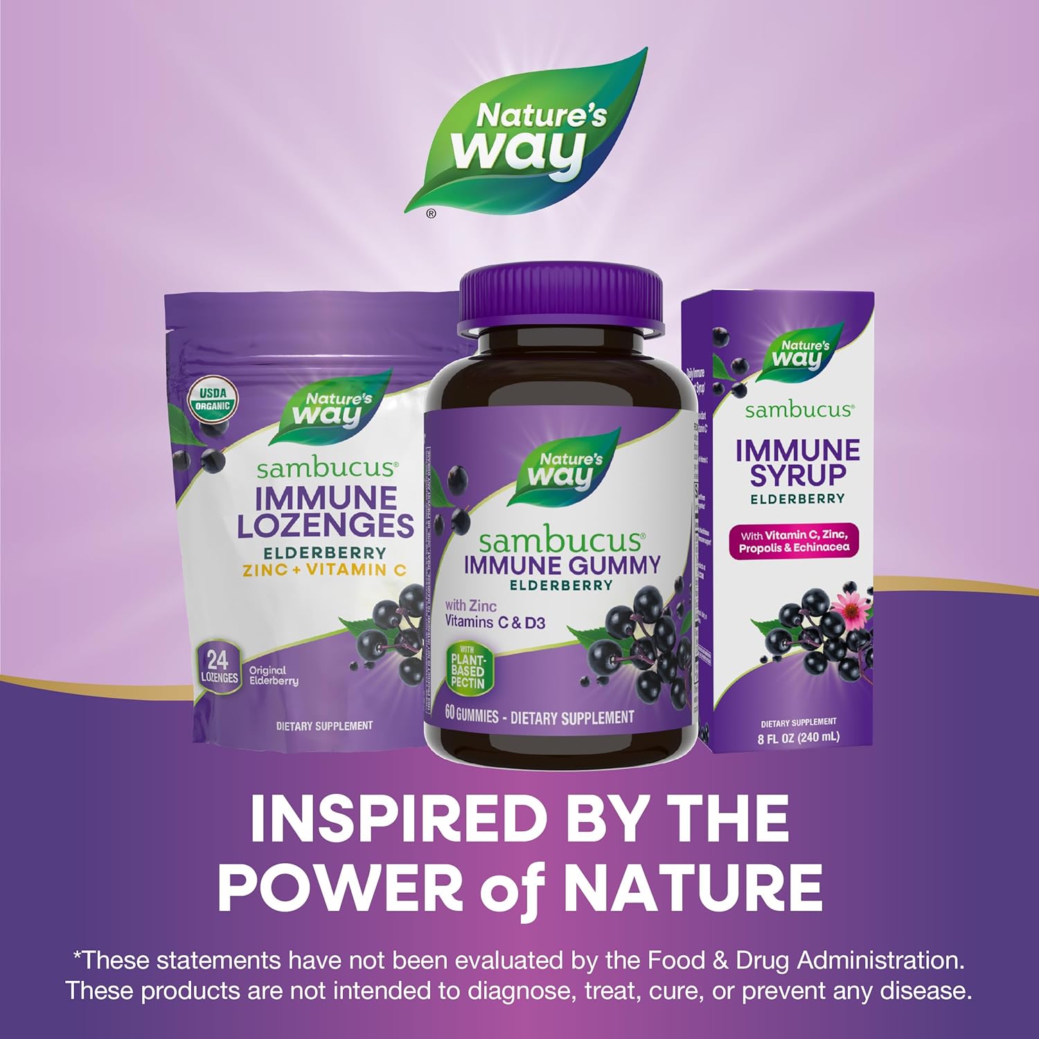Nature’s Way Sambucus Elderberry Immune Support Gummies for Kids & Adults* with Black…: Single Feature / Benefit Secondary Images