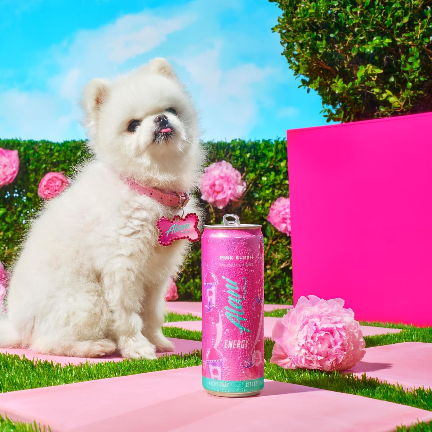 Shows the product in a fun, colorful environment to associate it with a playful, energetic lifestyle. Highlights the product's vibrant pink color and associates it with a cute, energetic image to…