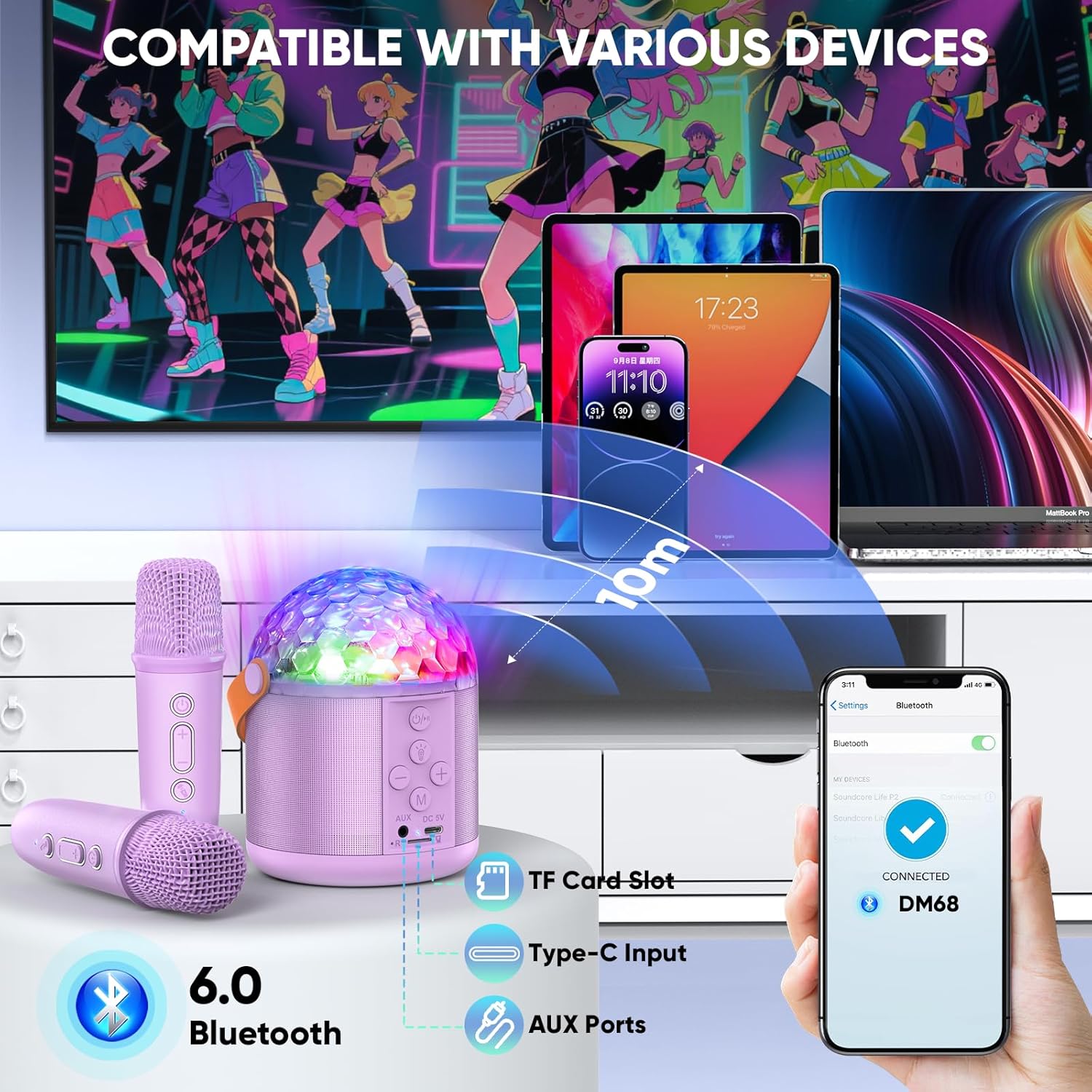 Karaoke Machine with Disco LED Lights for Adults Kids: Infographics