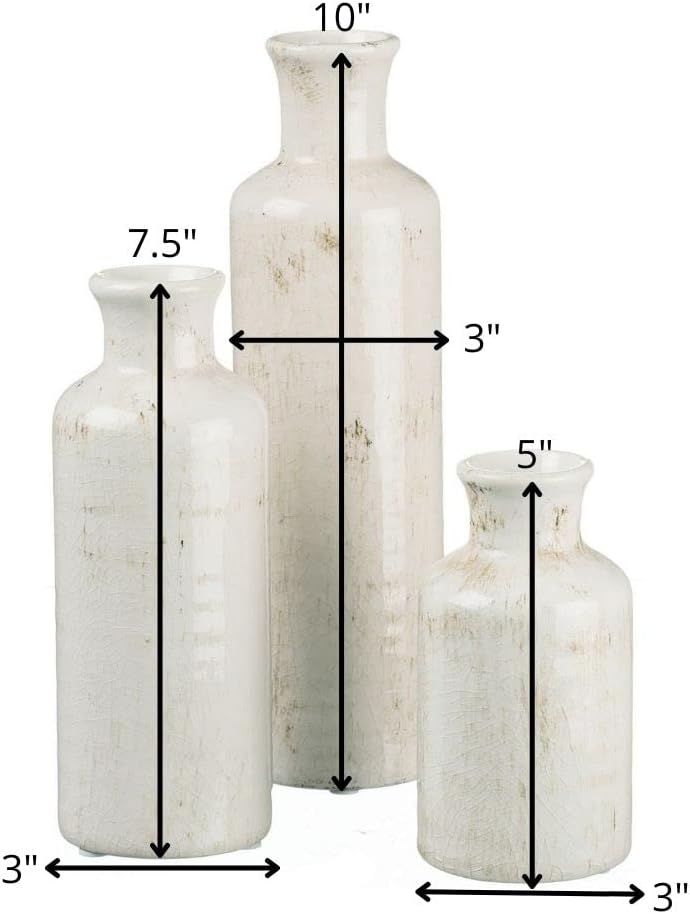 Provides exact measurements of three different sized vases to help customers understand the scale and proportions of the products.
