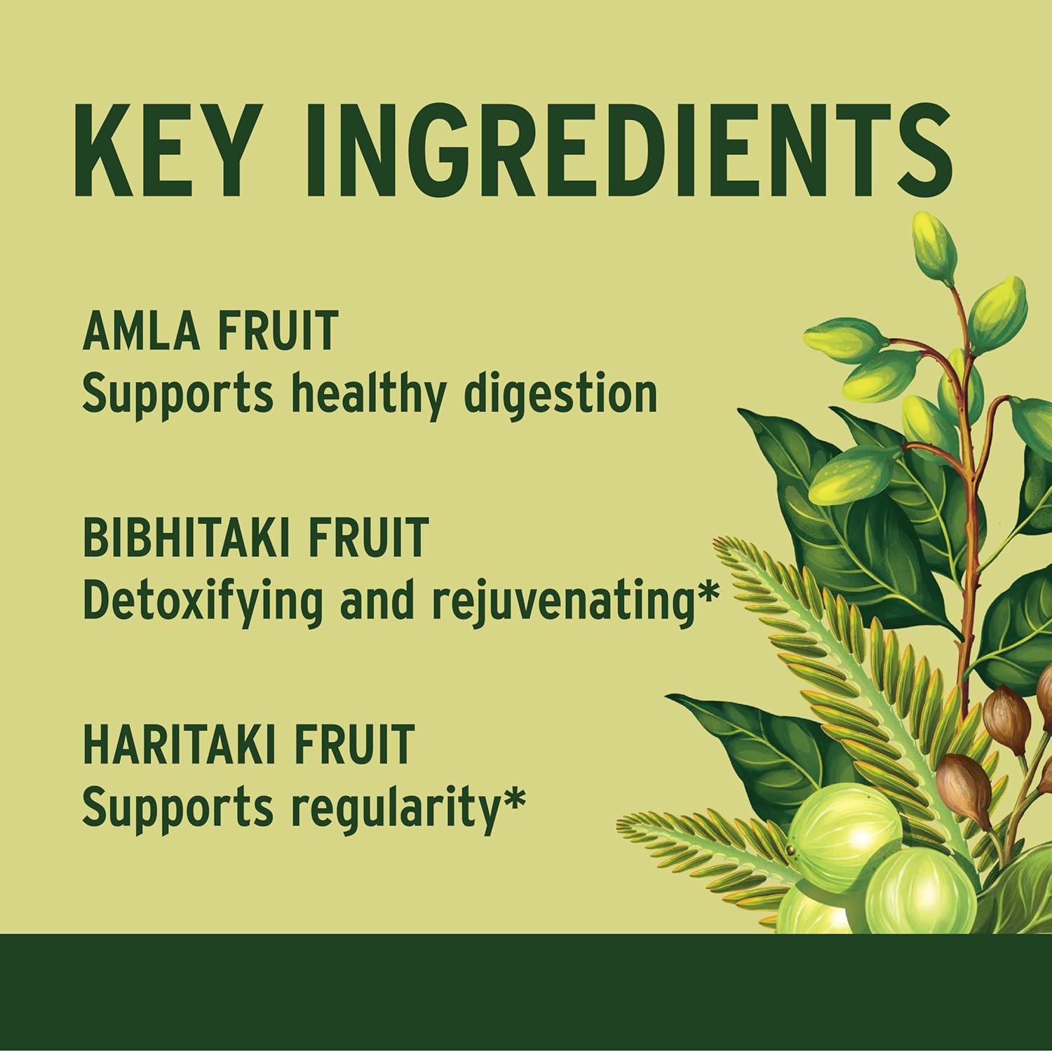 Highlights the main ingredients of the product and their specific health benefits to inform customers about its effectiveness.