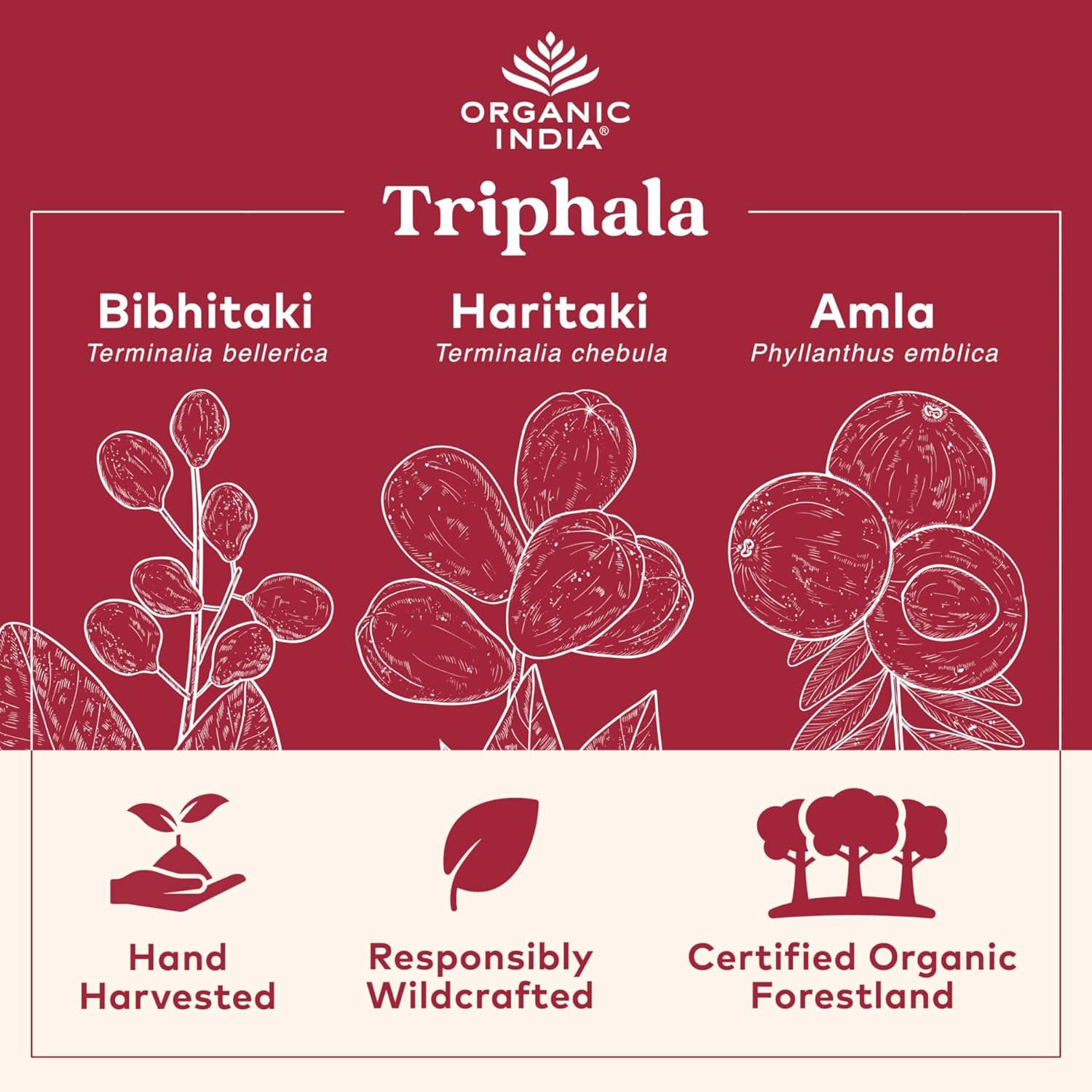 ORGANIC INDIA Triphala Capsules Organic: Infographics