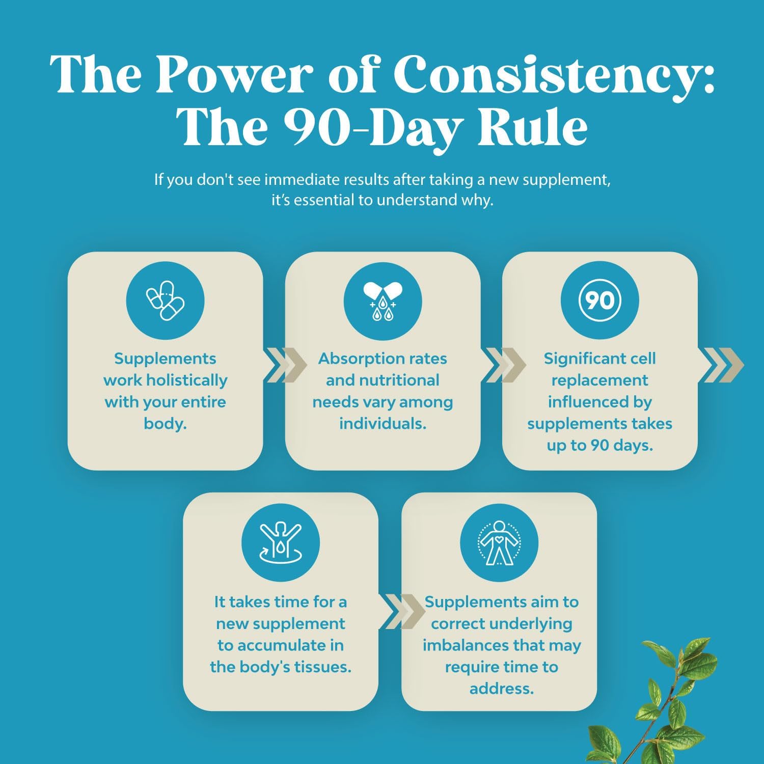 Explains why supplements may take up to 90 days to show results, educating customers on the importance of consistency and patience when taking supplements.