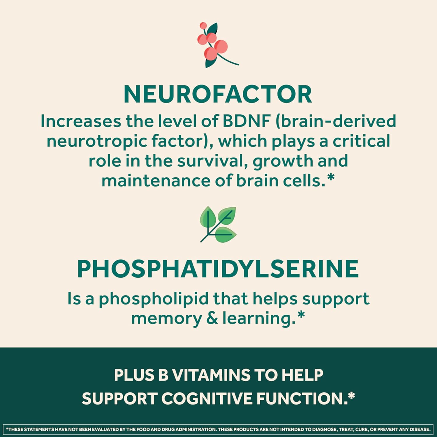 Highlights multiple ingredients and their specific benefits for brain health and cognitive function.