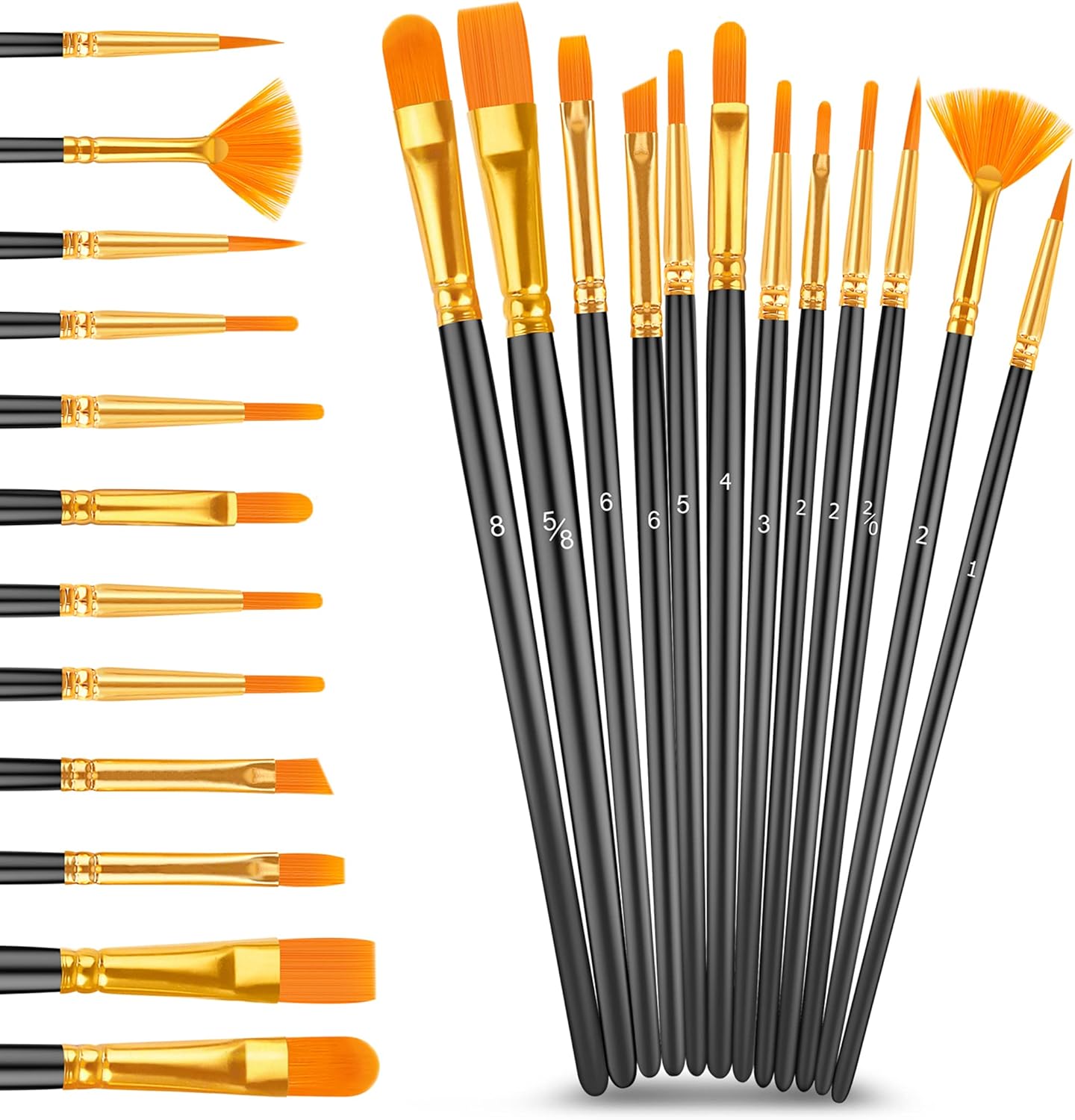 Shows the variety of brush types and sizes included in the set, helping artists understand the range of tools available for different painting techniques.