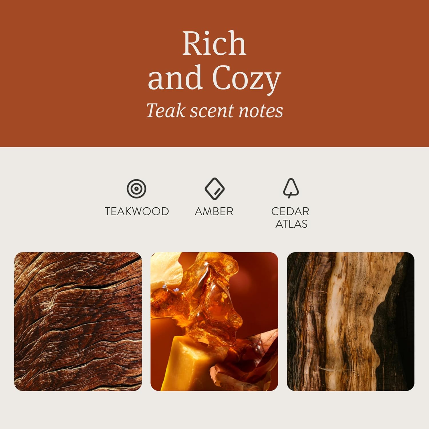 Highlights the specific scent profile of the product, emphasizing its rich and cozy teak fragrance notes.