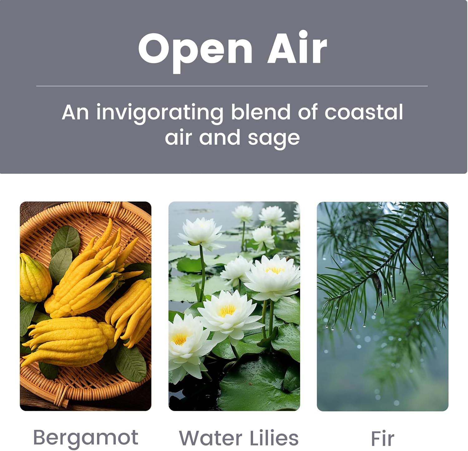 Showcases the key scent components of the 'Open Air' fragrance blend, highlighting its natural and refreshing qualities.