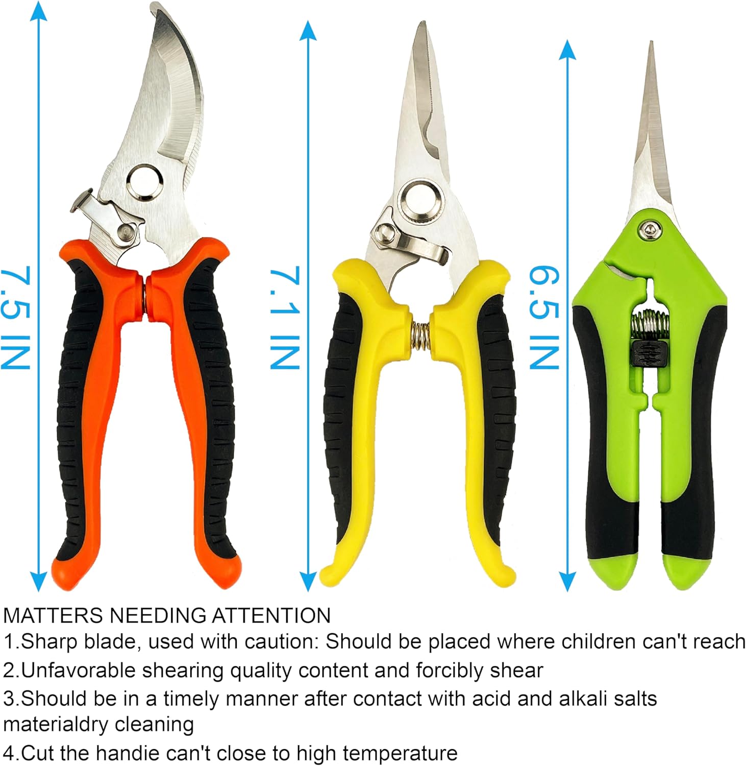 Pruning Shears: Infographics