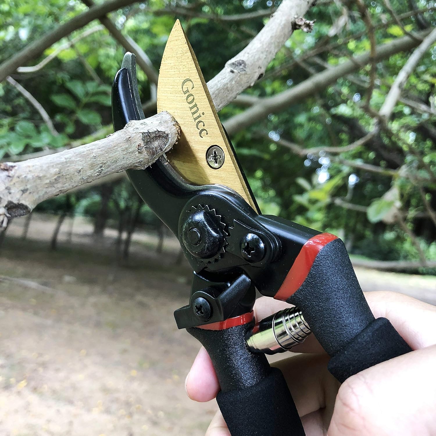 Demonstrates the product's ability to make clean, precise cuts on tree branches, highlighting its effectiveness for gardening and pruning tasks.