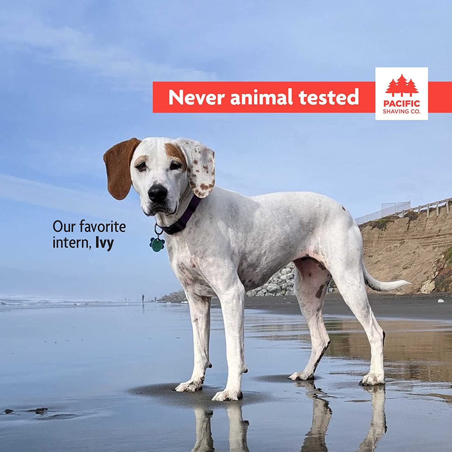 Reassures customers that the company's products are ethically produced without animal testing. Reinforces the brand's commitment to ethical practices and creates an emotional connection with…