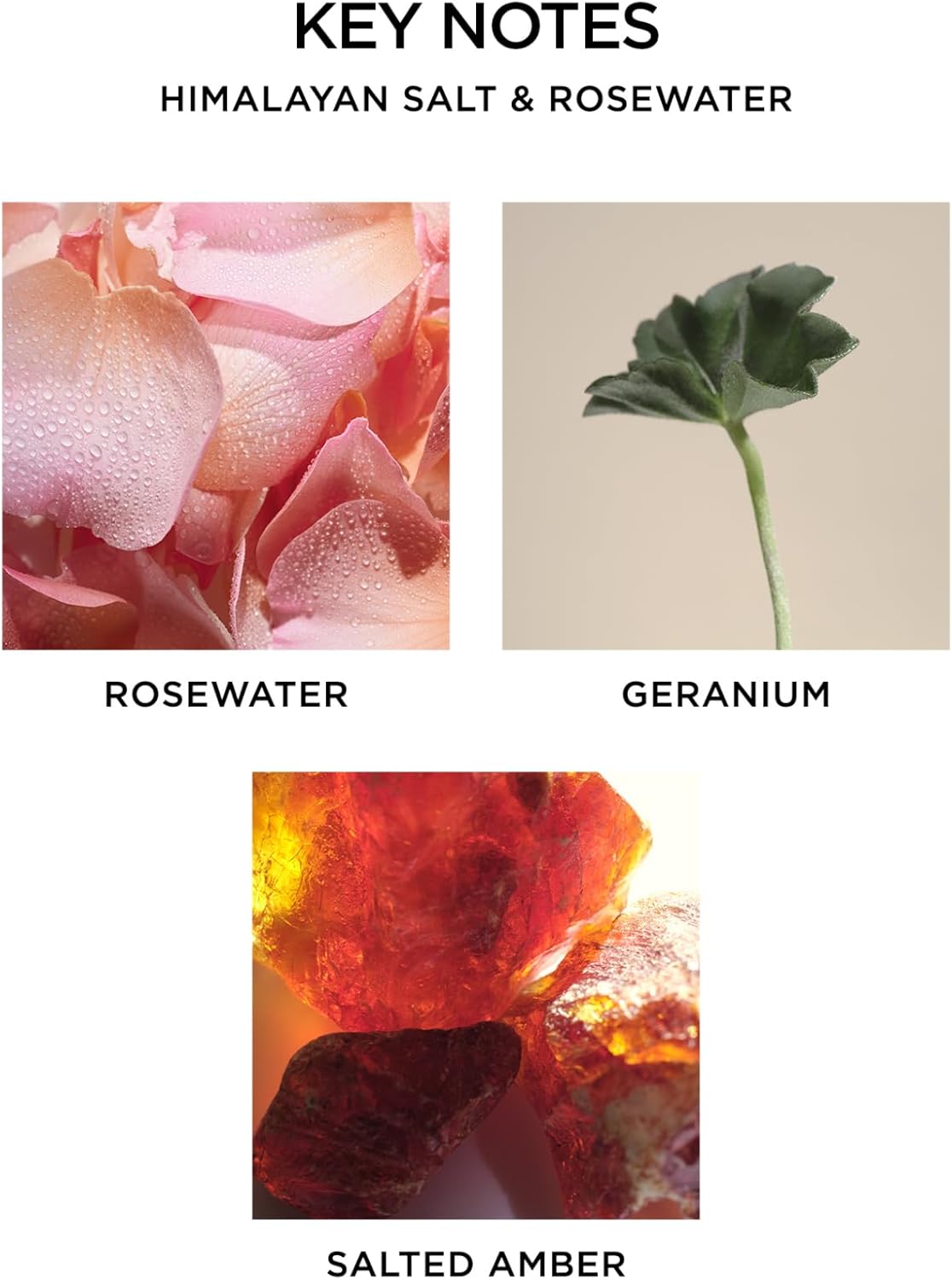 Highlights the main scent components of the product to inform customers about its fragrance profile.