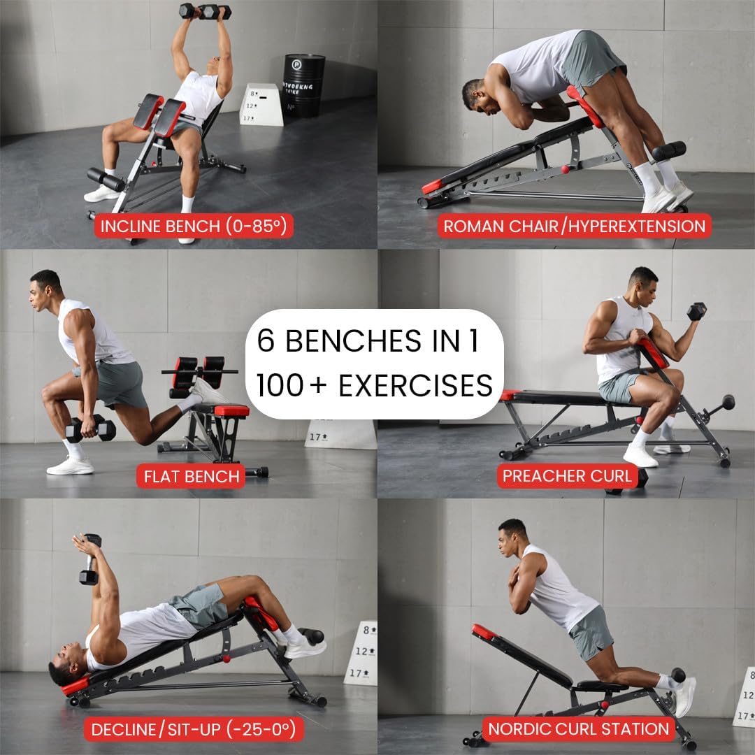Shows different workouts that can be done using the bench. 

Condensed: Workout Applications
