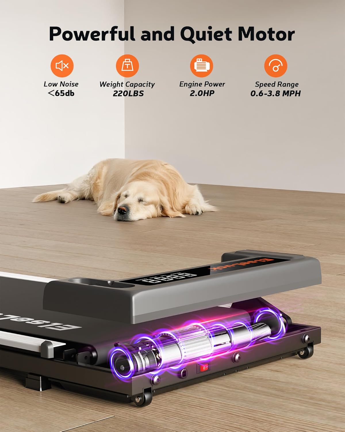 Highlights multiple key features of the treadmill motor to demonstrate its power, quietness, and versatility for home use.
