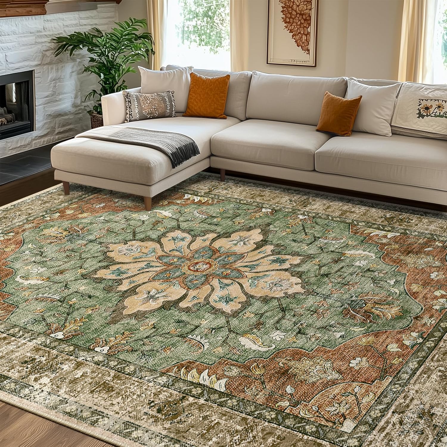 Showcases the rug in a real-world living room setting to help shoppers visualize how it would look in their own home.