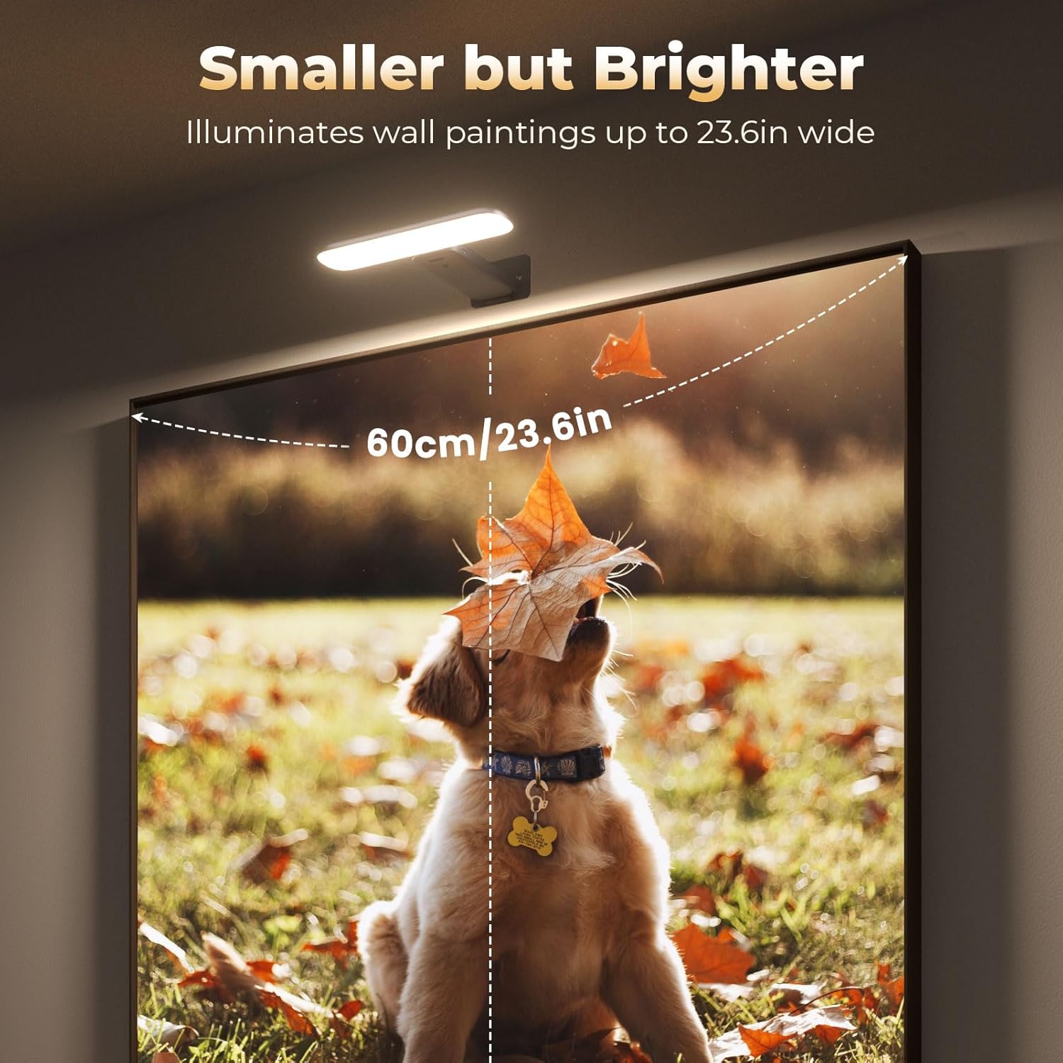 Demonstrates the product's ability to illuminate wall paintings up to 23.6 inches wide, highlighting its compact yet powerful lighting capability.
