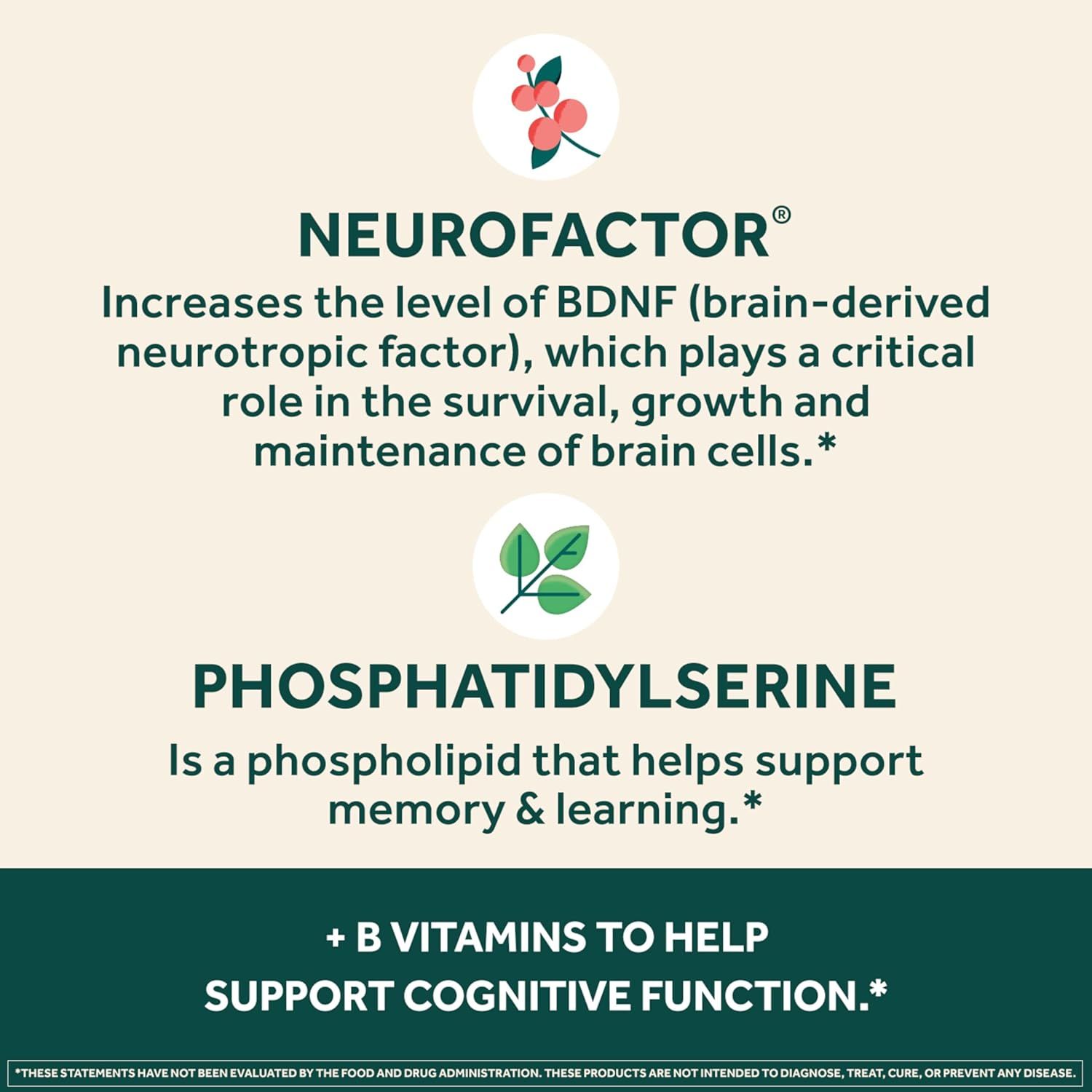 Highlights multiple ingredients and their benefits for brain health and cognitive function.
