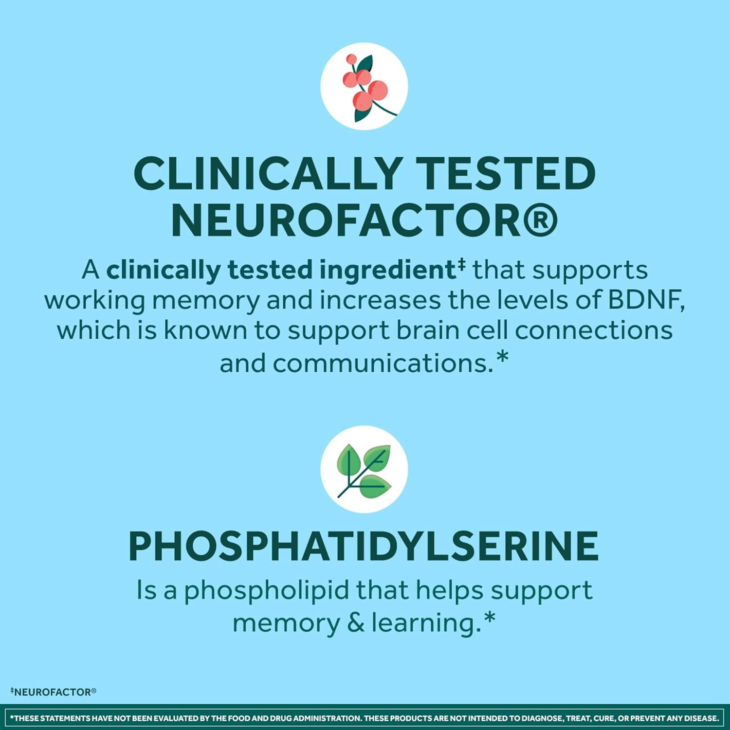 Highlights two key ingredients and their benefits for brain health and memory support.