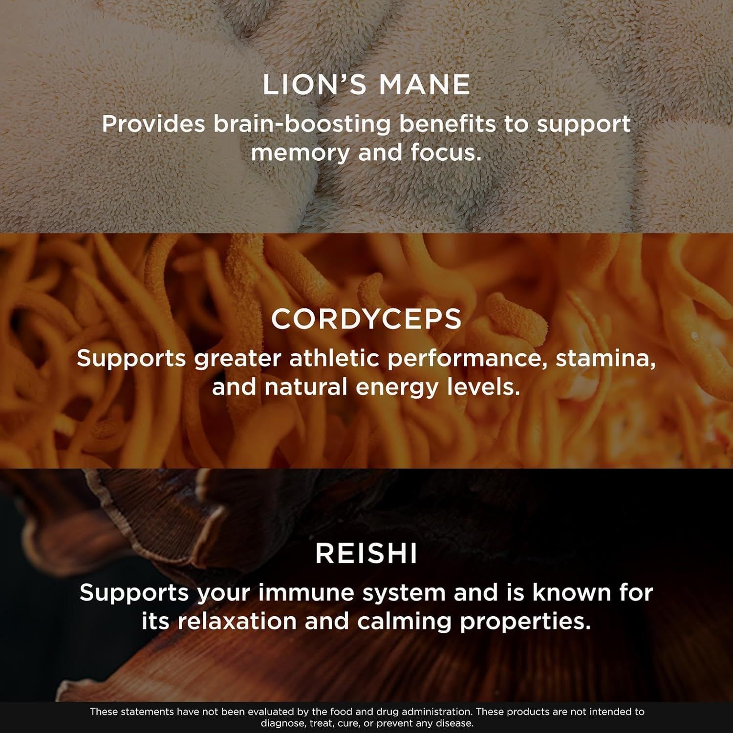 Highlights the key benefits of three different mushroom supplements to inform customers about their diverse health properties.
