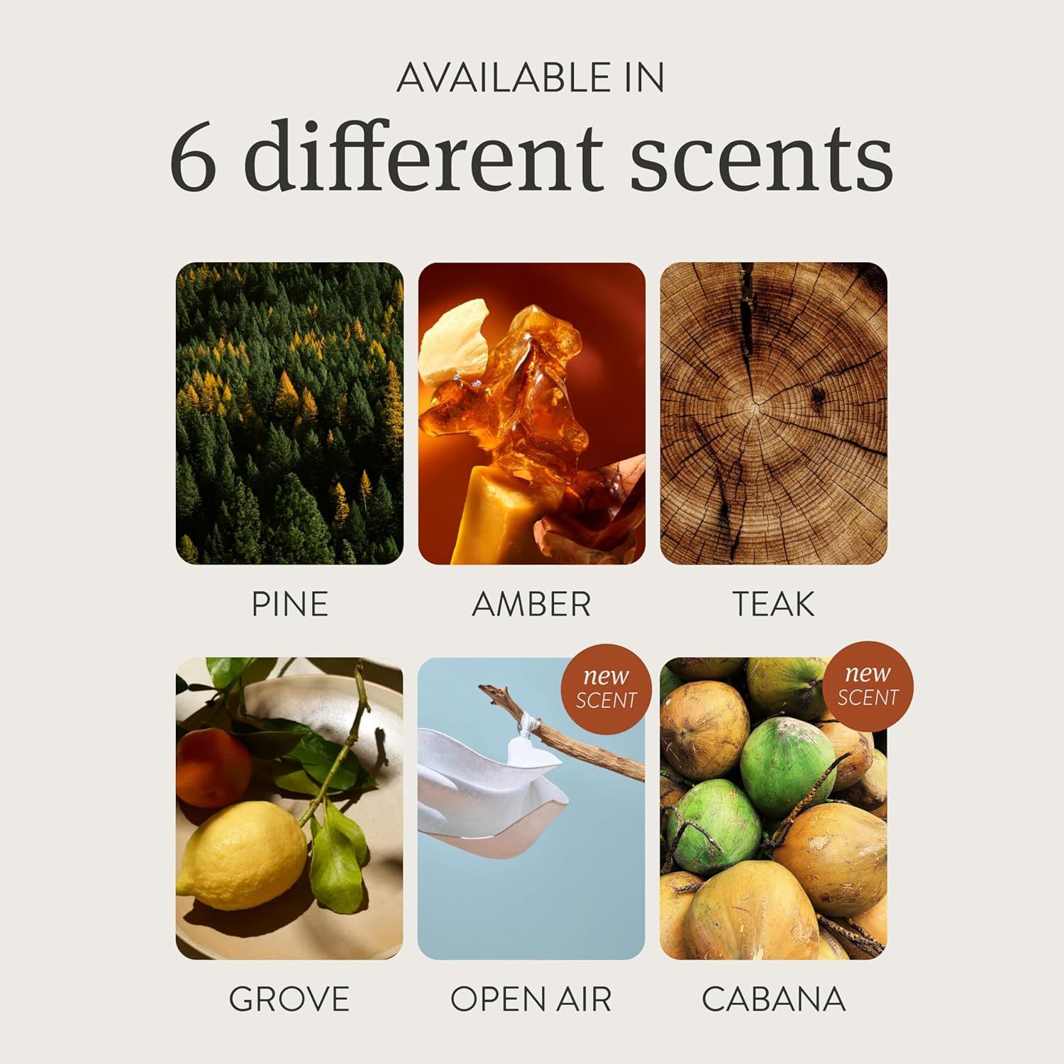 Showcases the range of scent options available for the product, appealing to different customer preferences.