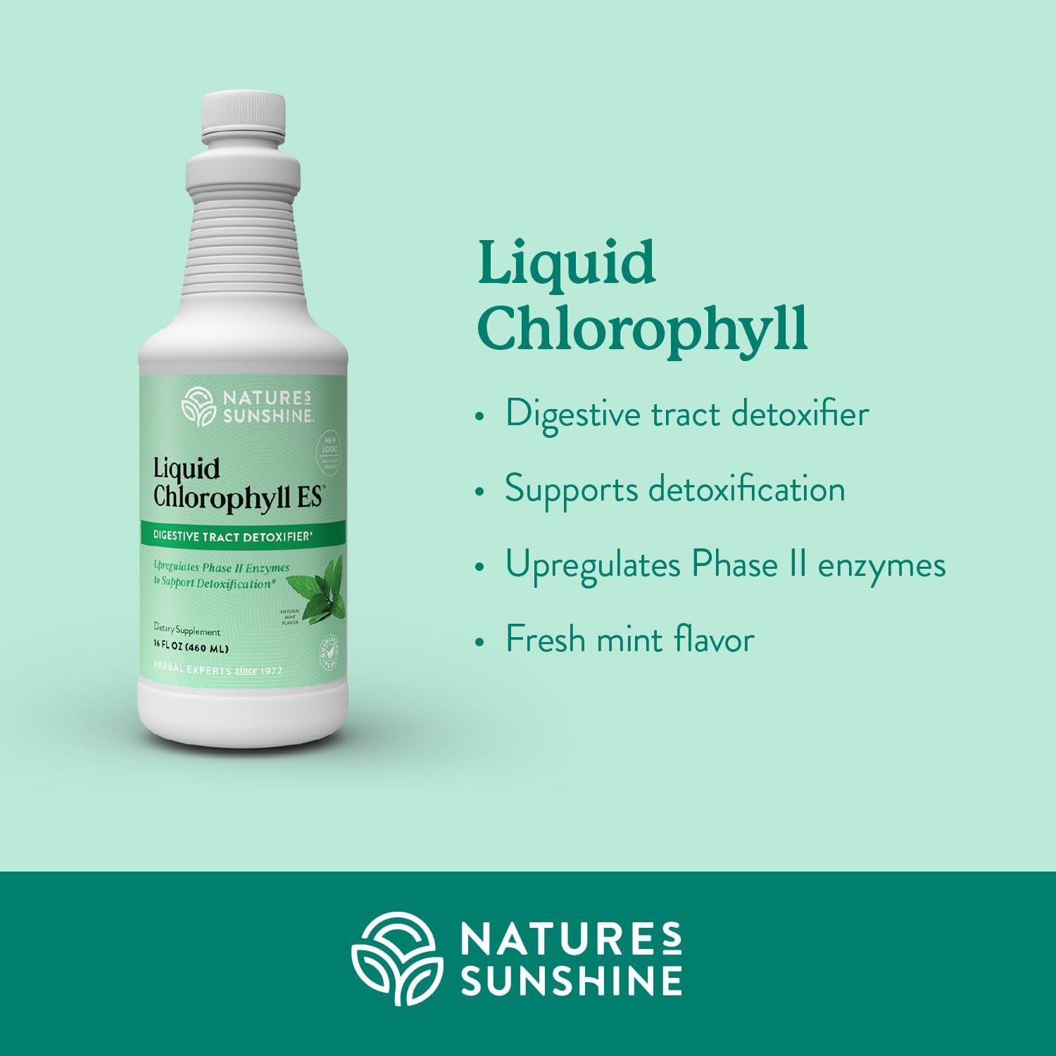 Highlights multiple health benefits of the liquid chlorophyll supplement to appeal to health-conscious consumers looking for digestive and detox support.