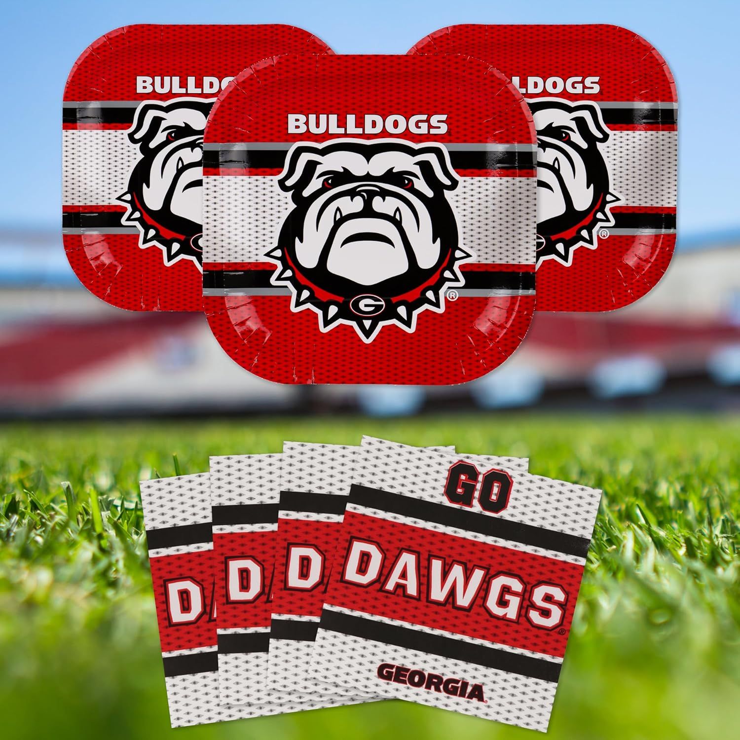 Shows the customer what items are included in the purchase, specifically three themed plates and multiple napkins with team branding.