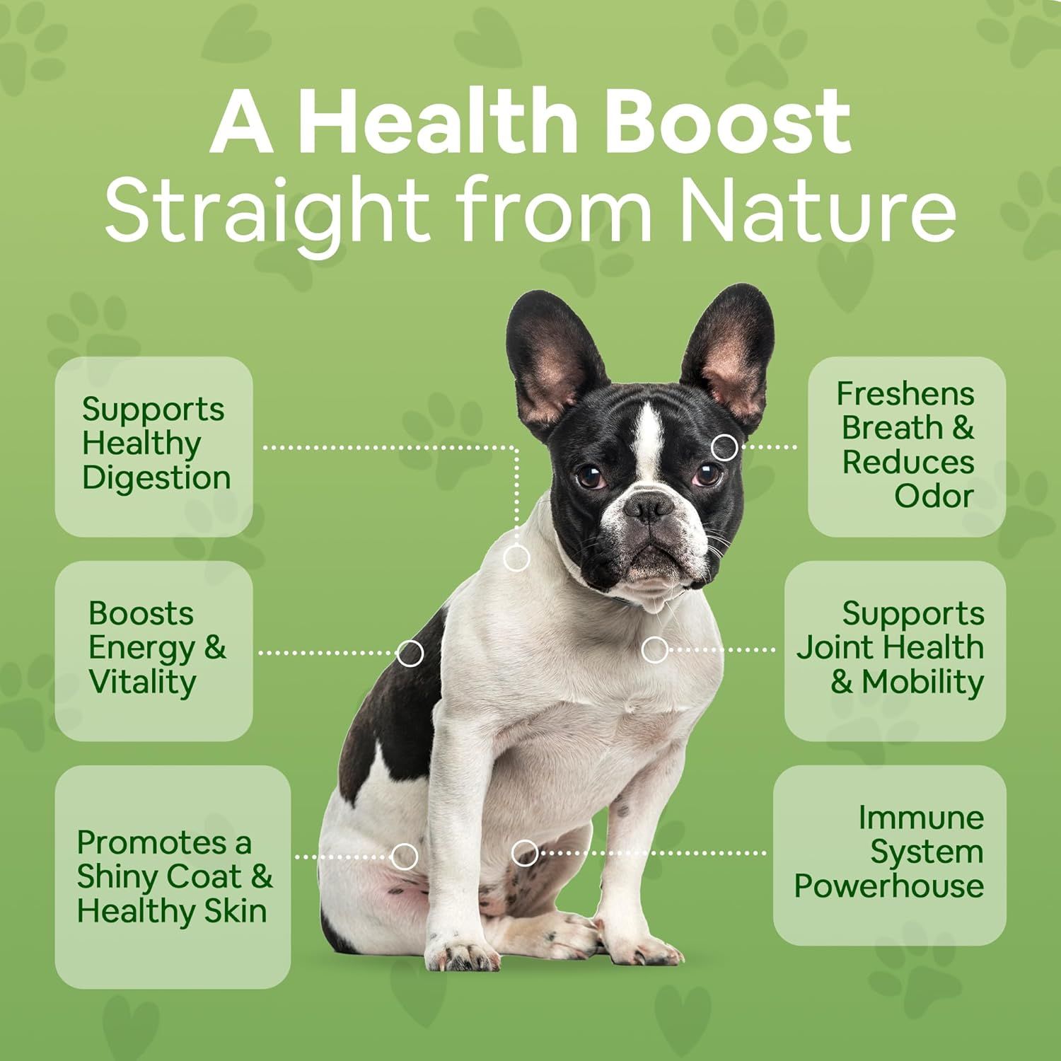Showcases six distinct health benefits of the product to demonstrate its comprehensive wellness support for dogs, emphasizing natural ingredients and multiple selling points.