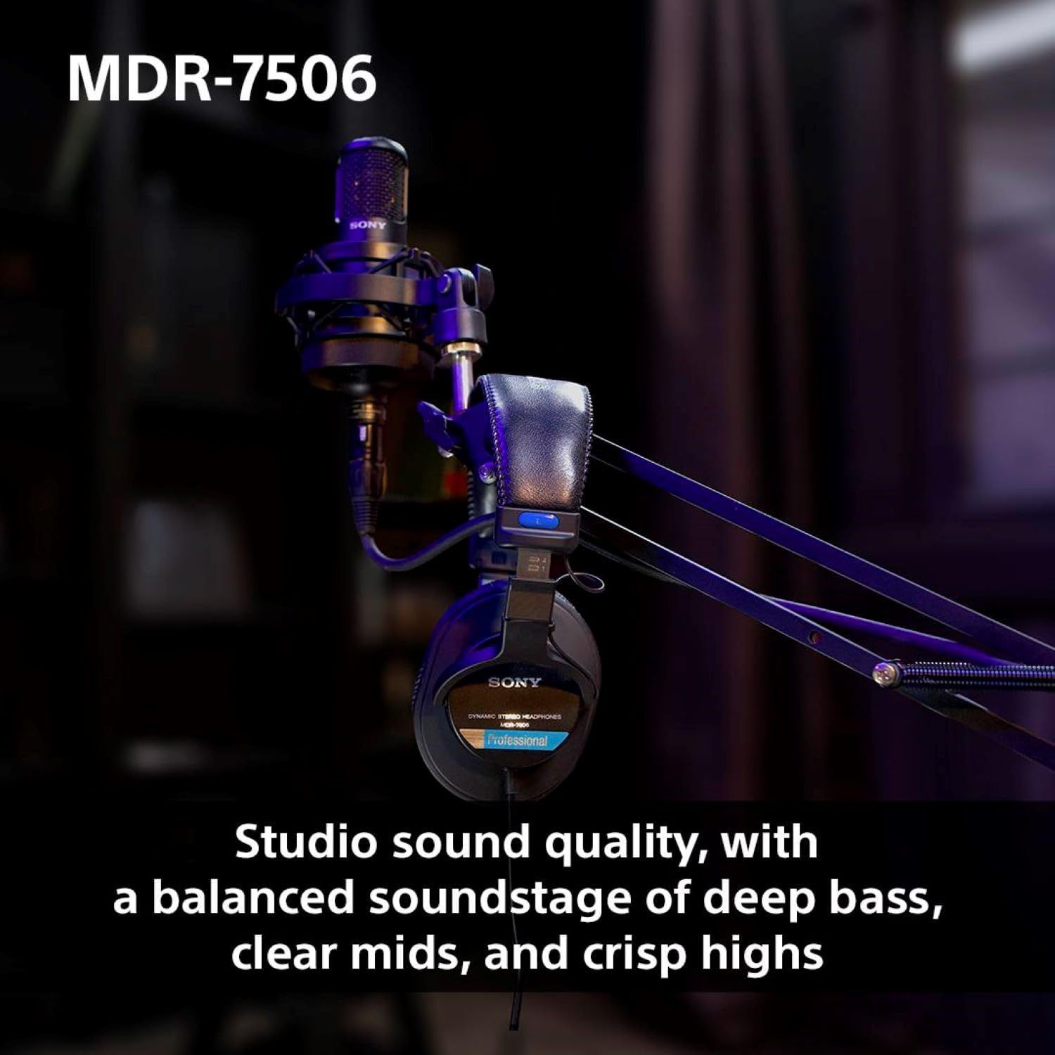 Communicates the professional-grade audio performance of the headphones with balanced bass, mids, and highs to reassure shoppers of premium sound quality.