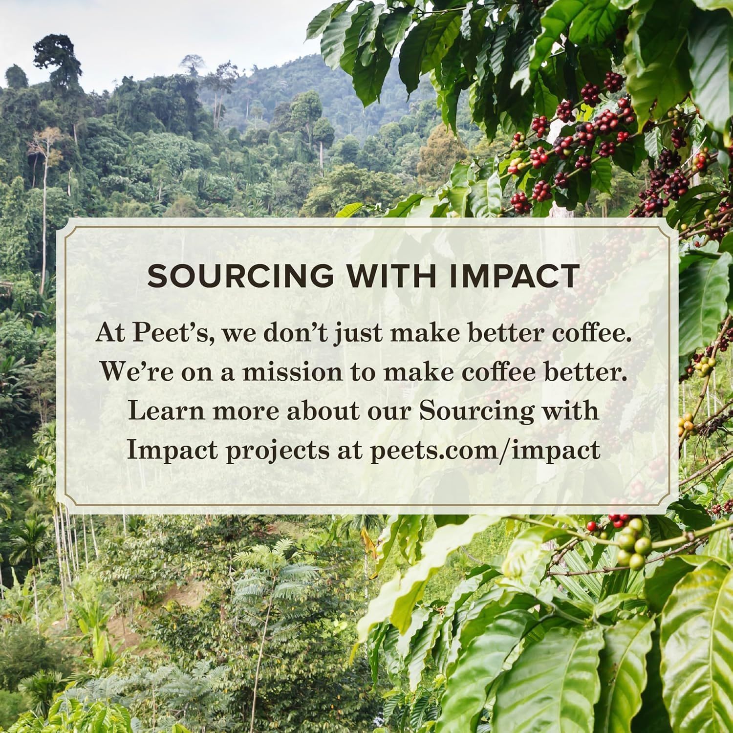 Communicates the brand's commitment to ethical sourcing and social responsibility, building trust and emotional connection with shoppers who value sustainability and impact-driven business practices.