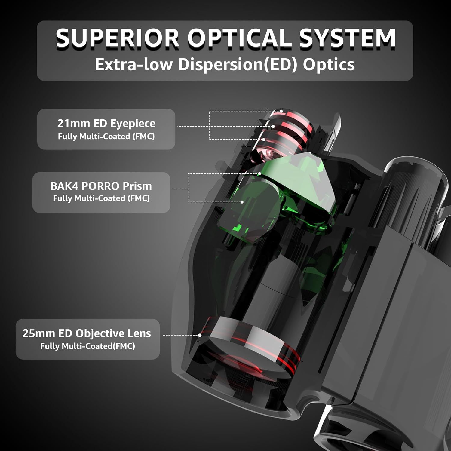 This image breaks down the internal optical components of the binoculars to demonstrate the superior quality and technical specifications of the optical system, reassuring shoppers of the products…