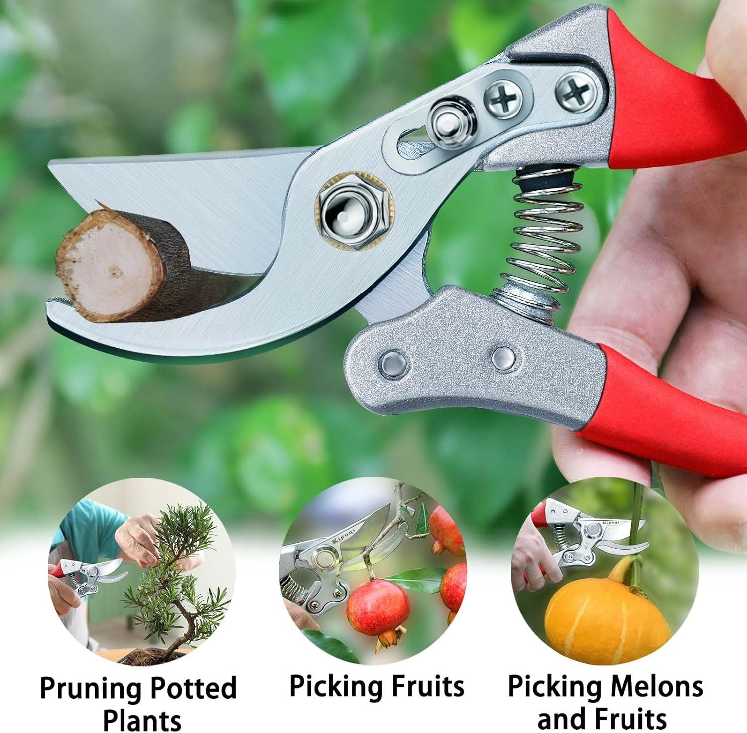 Demonstrates the versatility of the pruning shears by showing three distinct gardening applications, reassuring shoppers that this tool can handle multiple tasks.