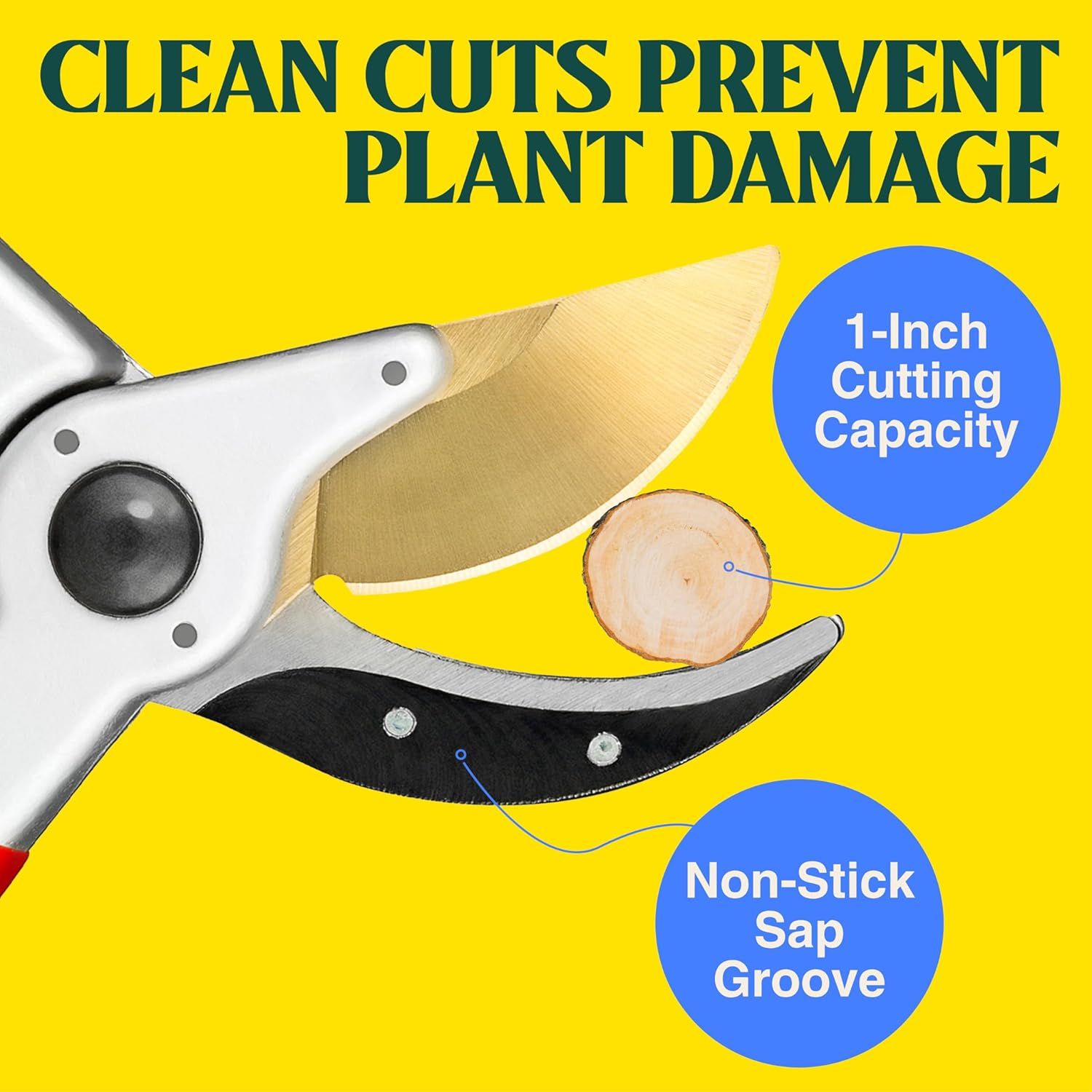 Highlights the physical design features of the pruning shears, showing the cutting capacity and non-stick sap groove to demonstrate how the tool is engineered to prevent plant damage and handle…