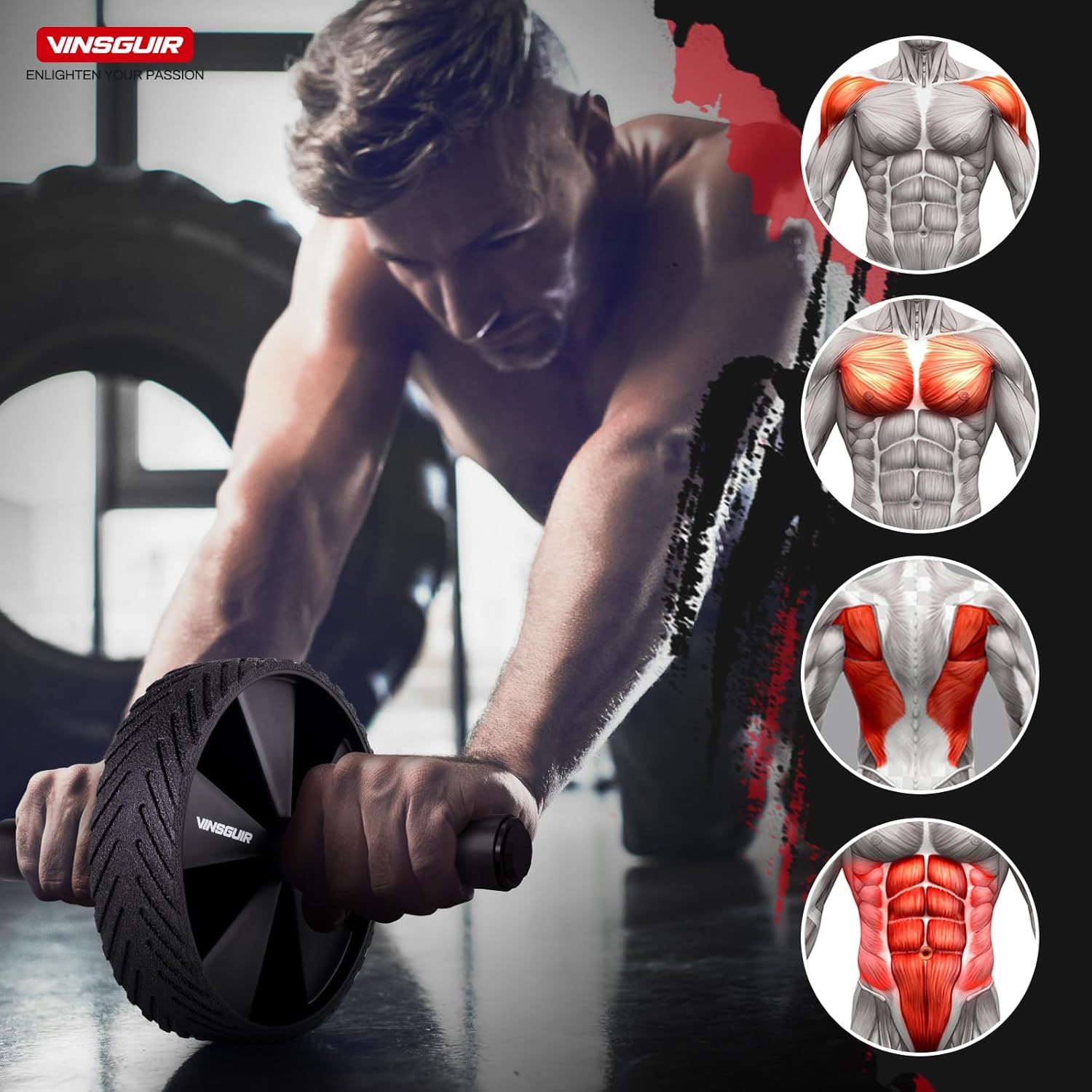 Demonstrates which specific muscle groups are engaged and worked when using the ab roller, helping shoppers understand the comprehensive fitness benefits and targeted training zones.