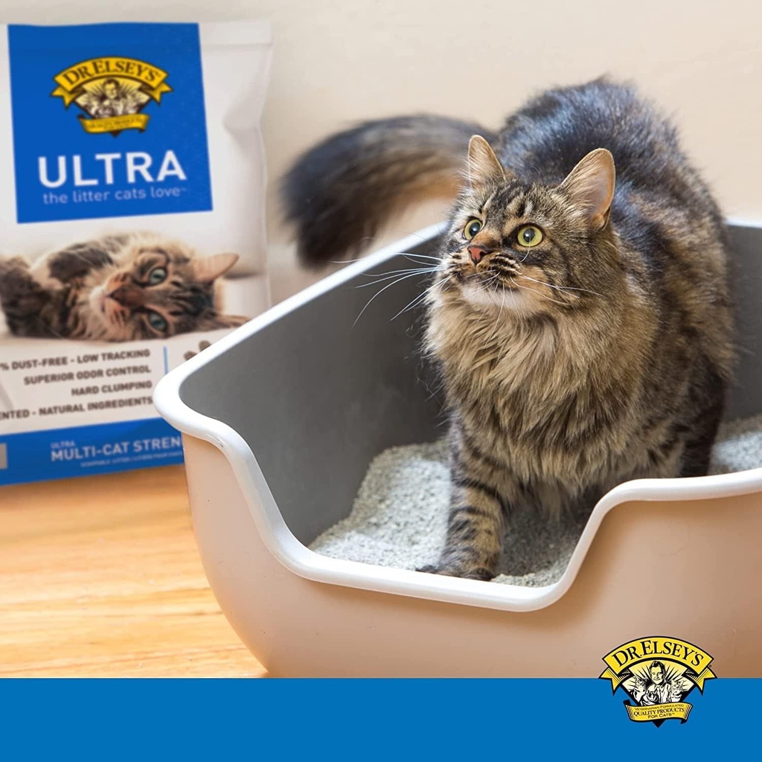 Shows the product being used by a real cat in a home environment to help shoppers visualize the product in their own space and see how cats naturally interact with it.
