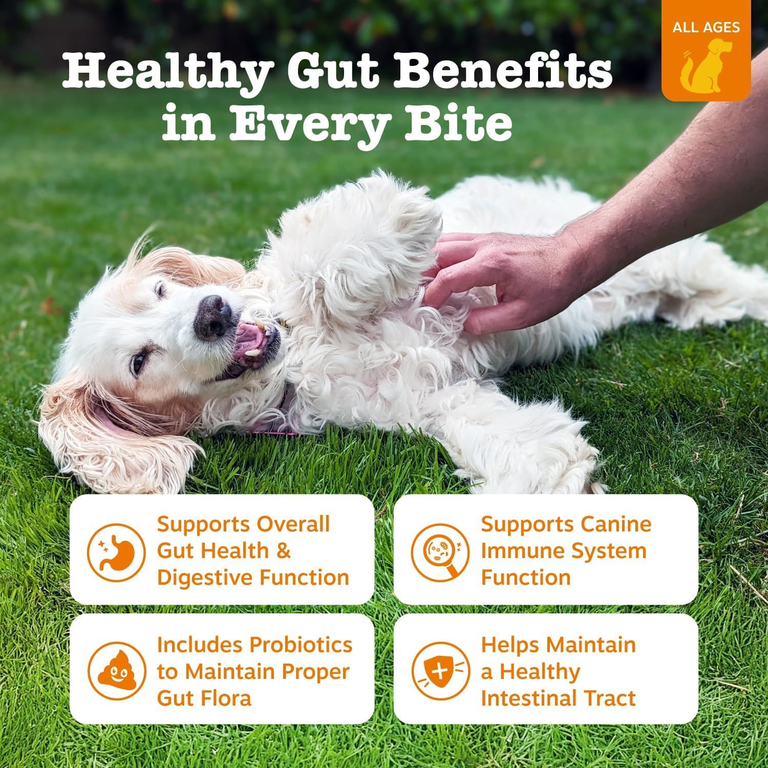 Communicates multiple health benefits of the pet food product, emphasizing gut health, immune support, probiotics, and digestive wellness to reassure pet owners of comprehensive nutritional value.