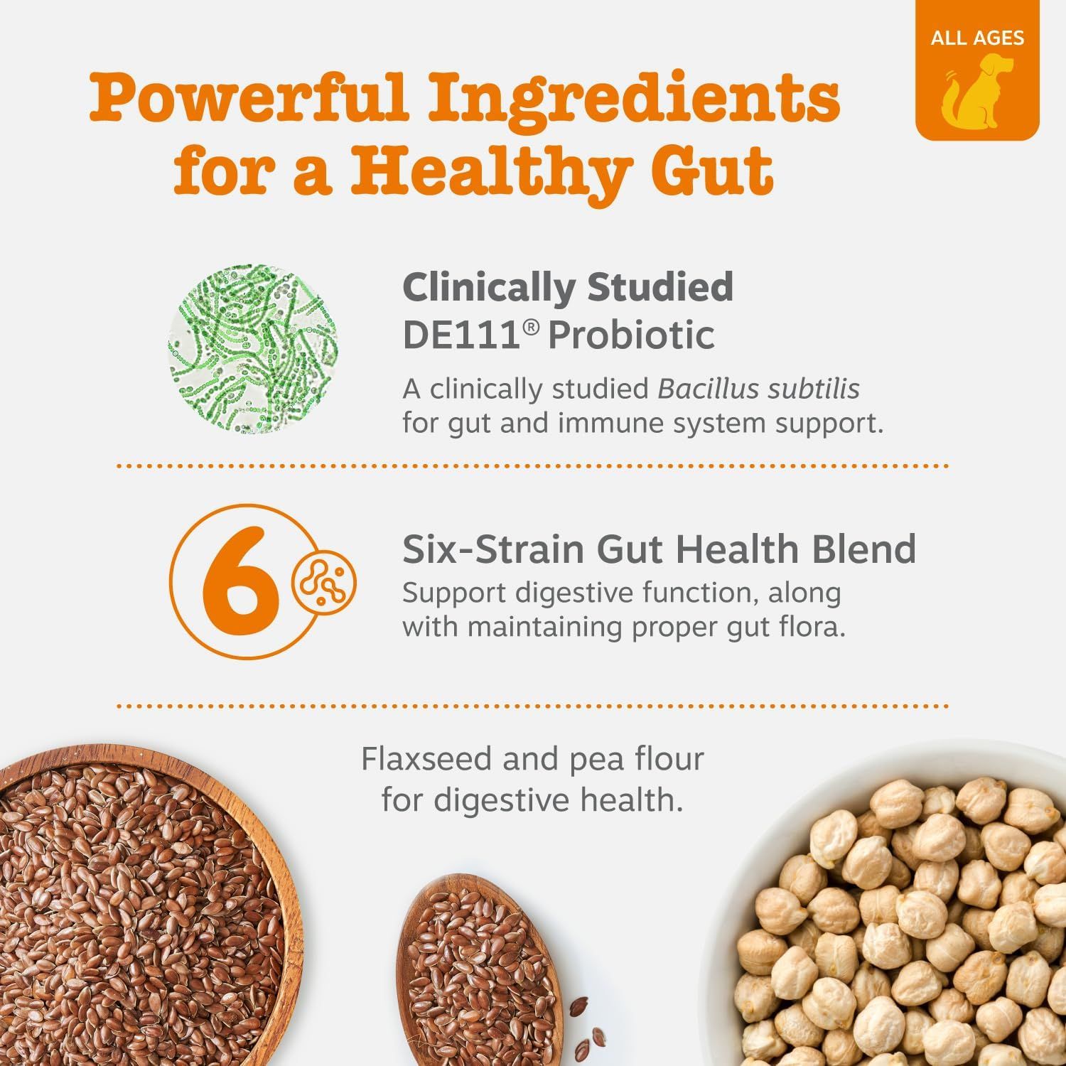 Communicates multiple distinct gut health benefits through a segmented layout, highlighting the clinically studied probiotic, six-strain blend, and digestive health ingredients to reassure shoppers…