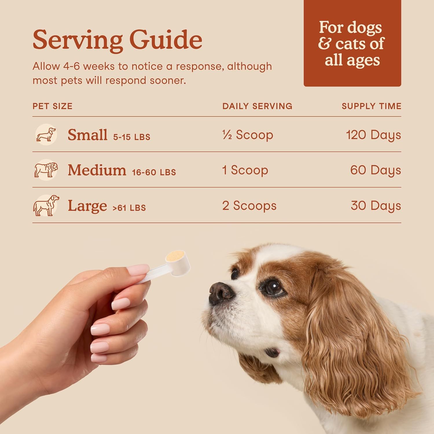 Provides clear dosage instructions based on pet size to help shoppers understand how to properly administer the product and how long the supply will last.