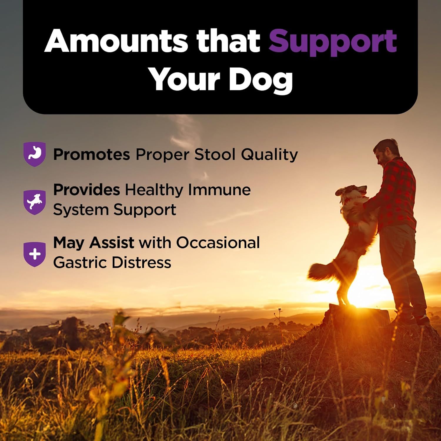 Communicates multiple health benefits of the product for dogs, including stool quality, immune system support, and gastric distress relief, to reassure pet owners of comprehensive wellness support.