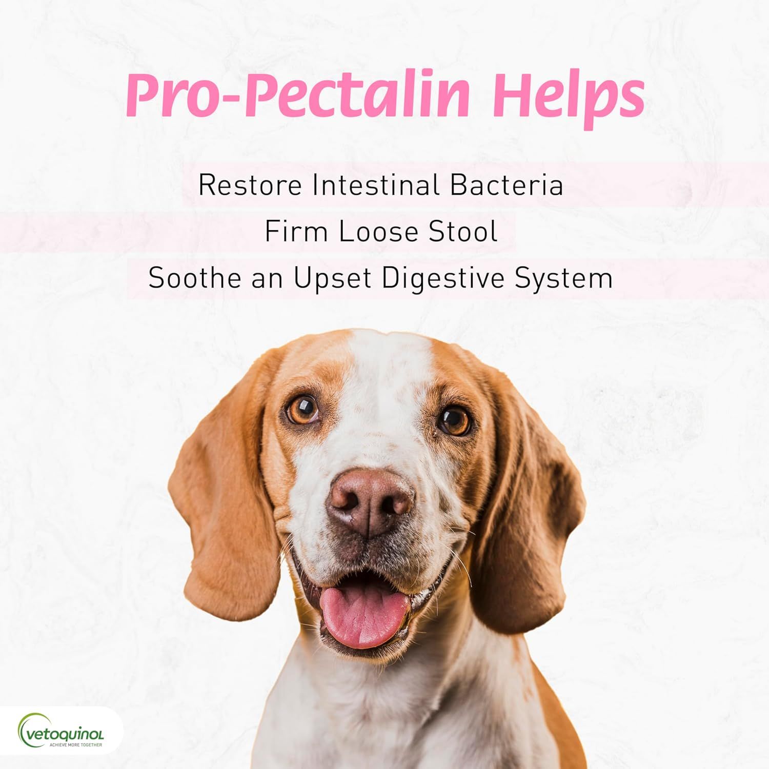 Communicates multiple digestive health benefits of Pro-Pectalin to reassure pet owners that the product addresses several common digestive issues in dogs.