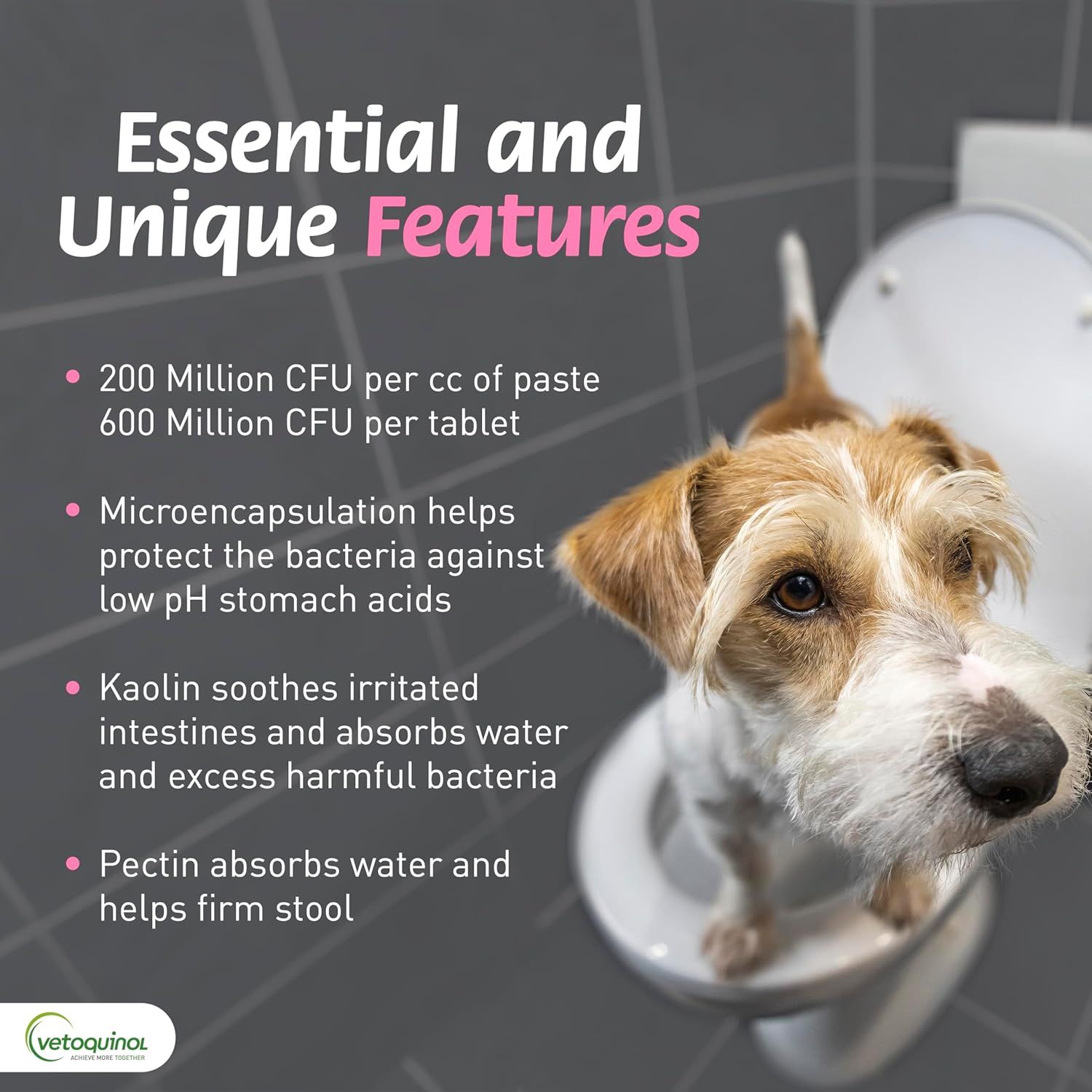 Communicates multiple distinct benefits of the probiotic product through a bulleted list format, highlighting CFU concentration, protective microencapsulation technology, and specific ingredient…