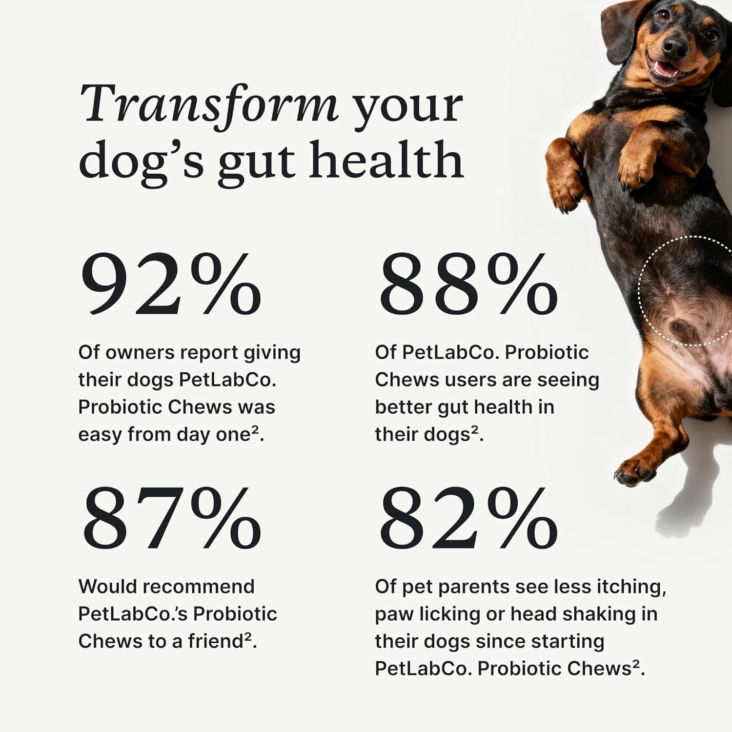 Communicates multiple quantifiable customer satisfaction and product effectiveness statistics to build trust and demonstrate the probiotic chews' proven results in improving dog gut health.…