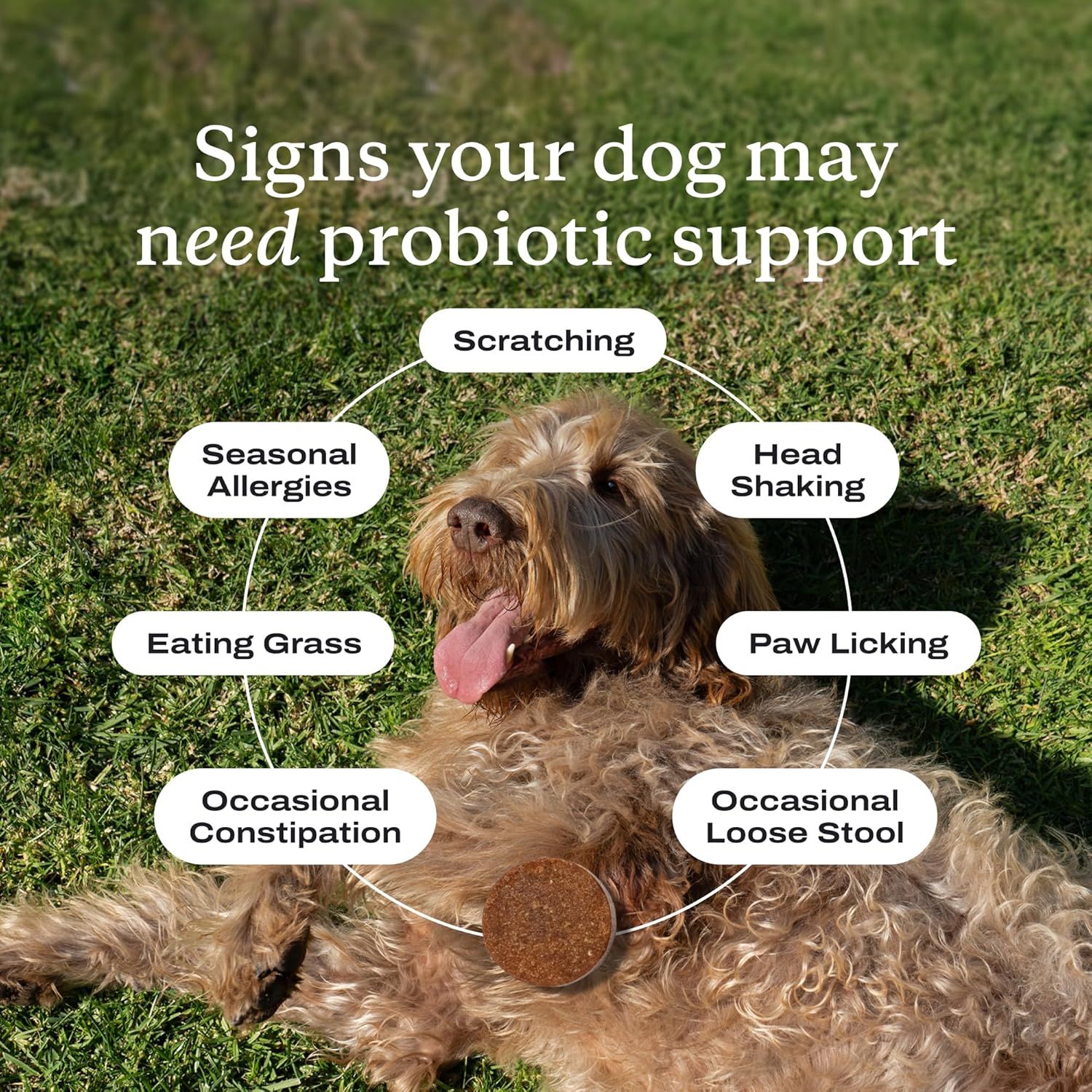 Educates pet owners on multiple signs that indicate their dog may need probiotic support, positioning the product as a solution for various digestive and health issues.