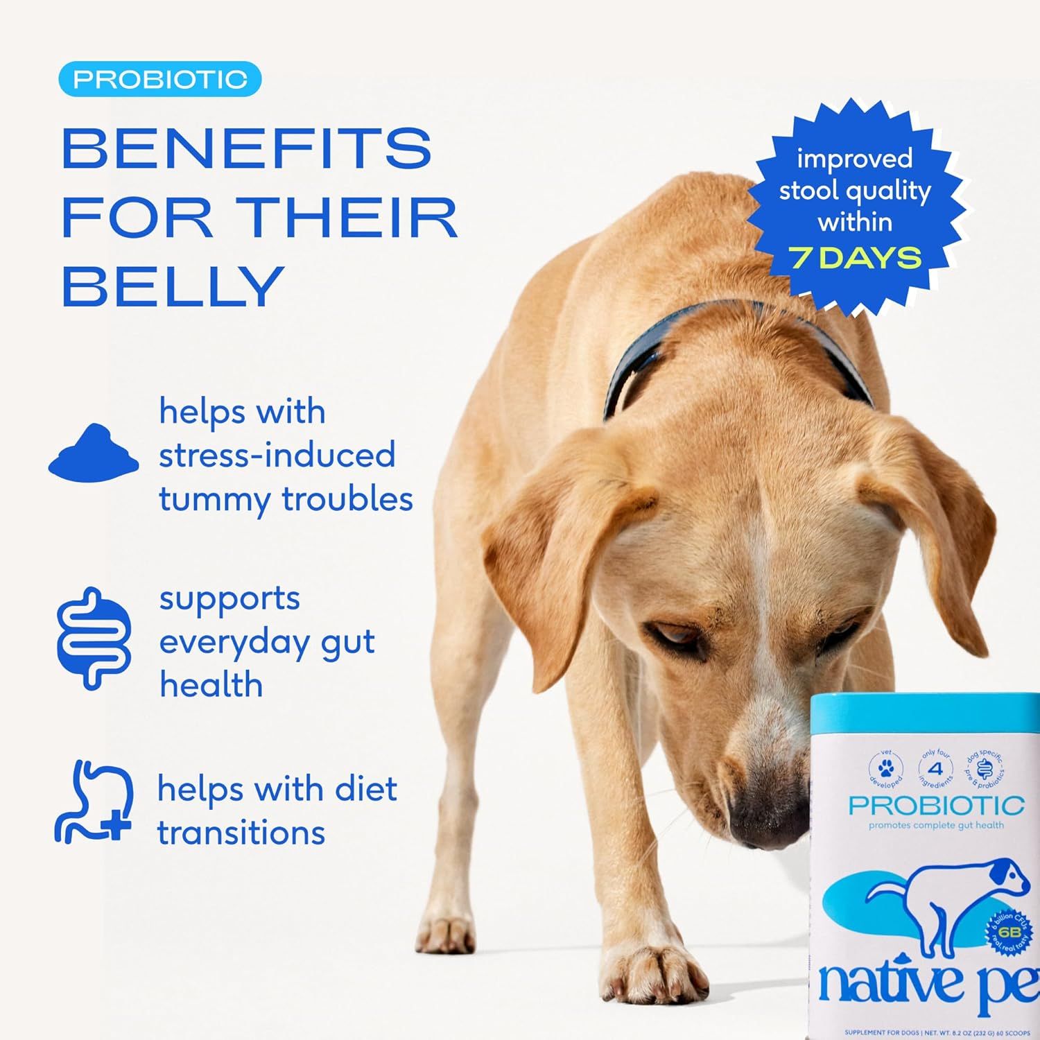 Communicates multiple distinct probiotic benefits for dogs in a visually segmented layout with icons, highlighting digestive health improvements and fast results within 7 days.